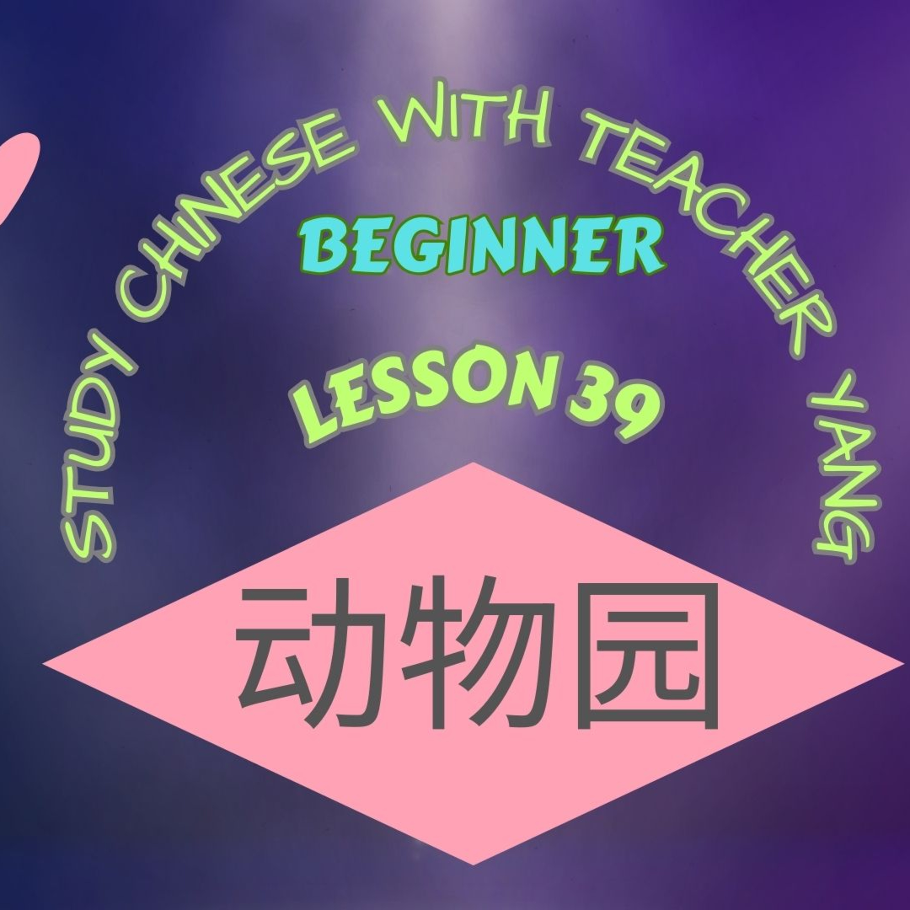 Ep.303 Beginner Lesson 39 动物园 dòngwùyuán (English version) episode artwork