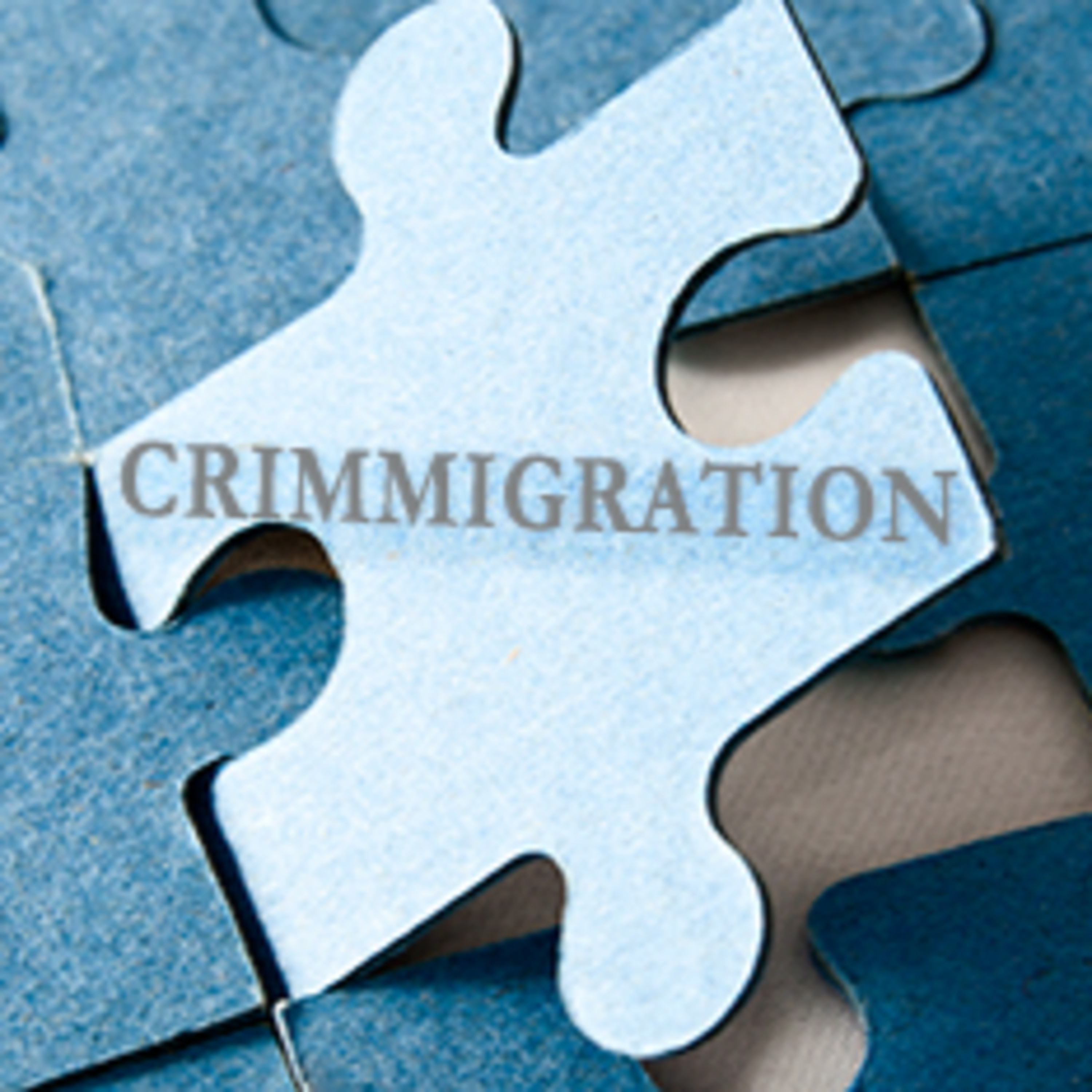 2023 Immigration In LJ Courts episode artwork