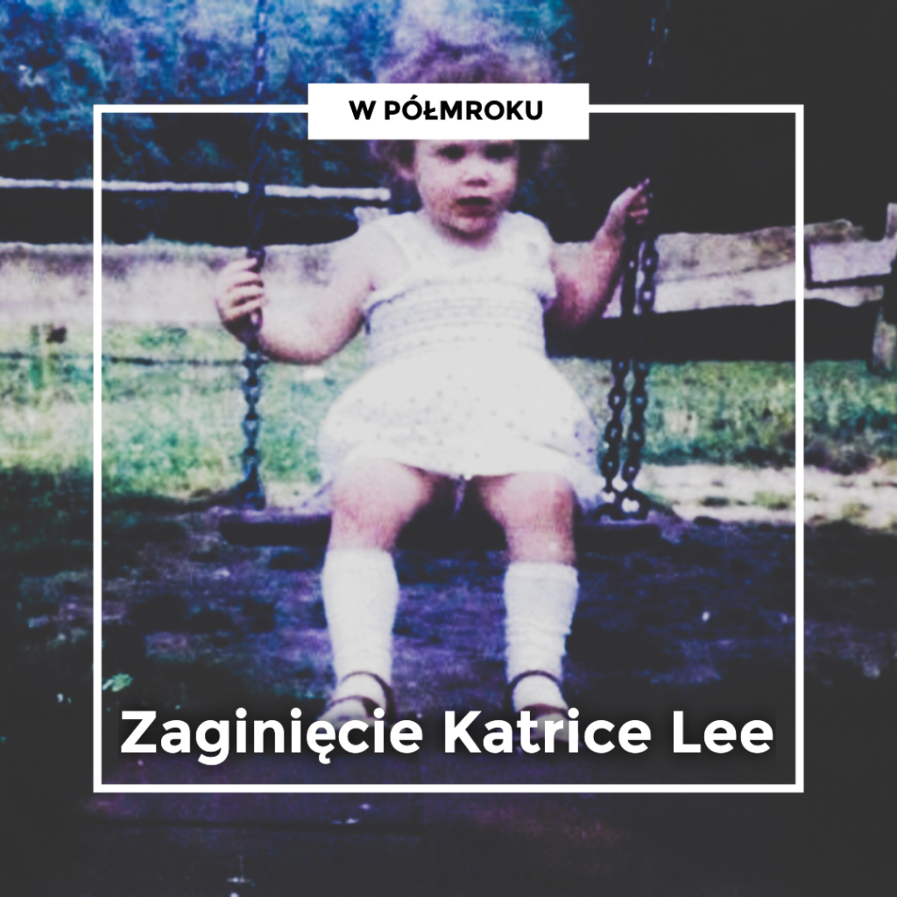 „To nie było daleko. Zajęło mi to około 40 sekund, najwyżej minutę" | Zaginięcie KATRICE LEE