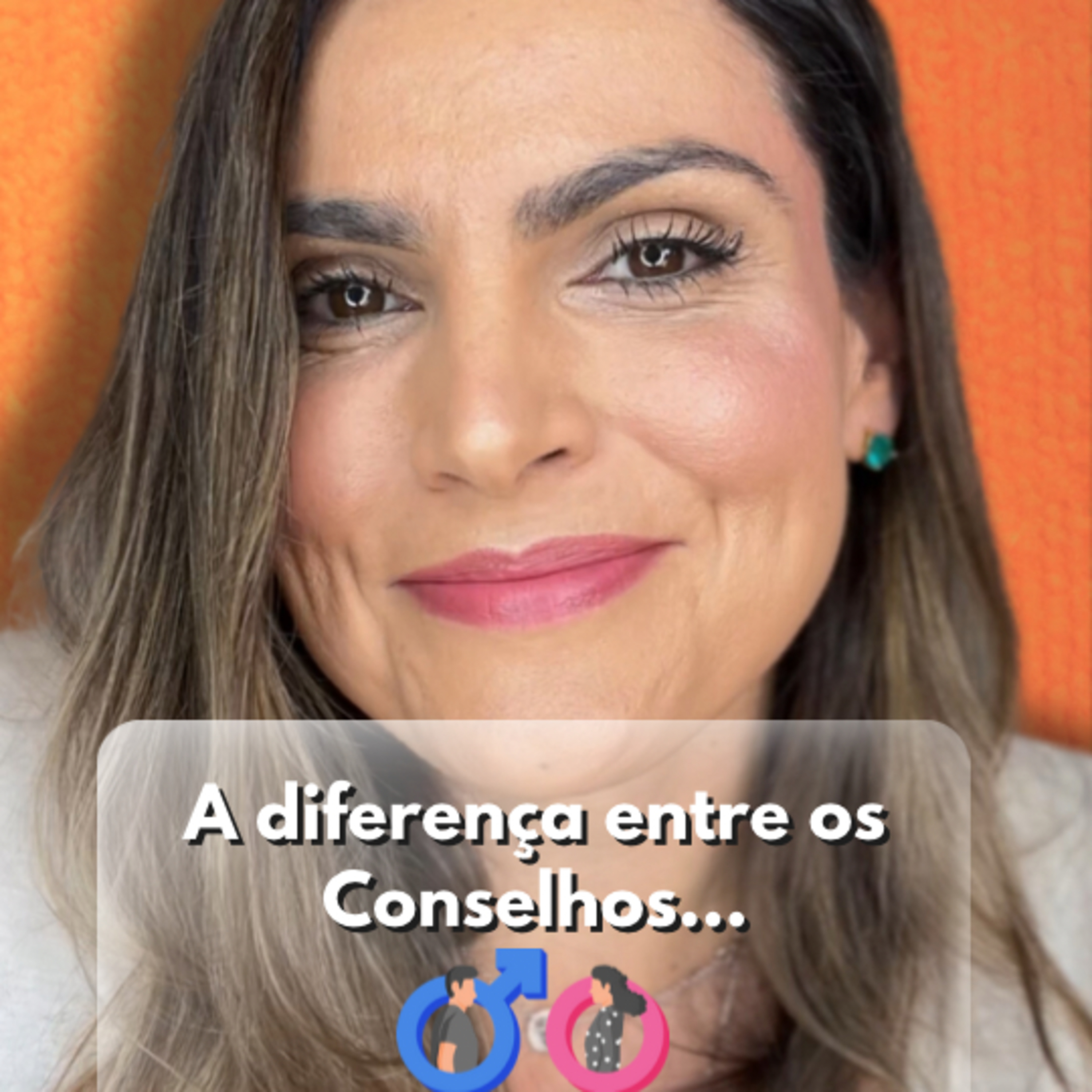 A diferença entre os Conselhos... episode artwork