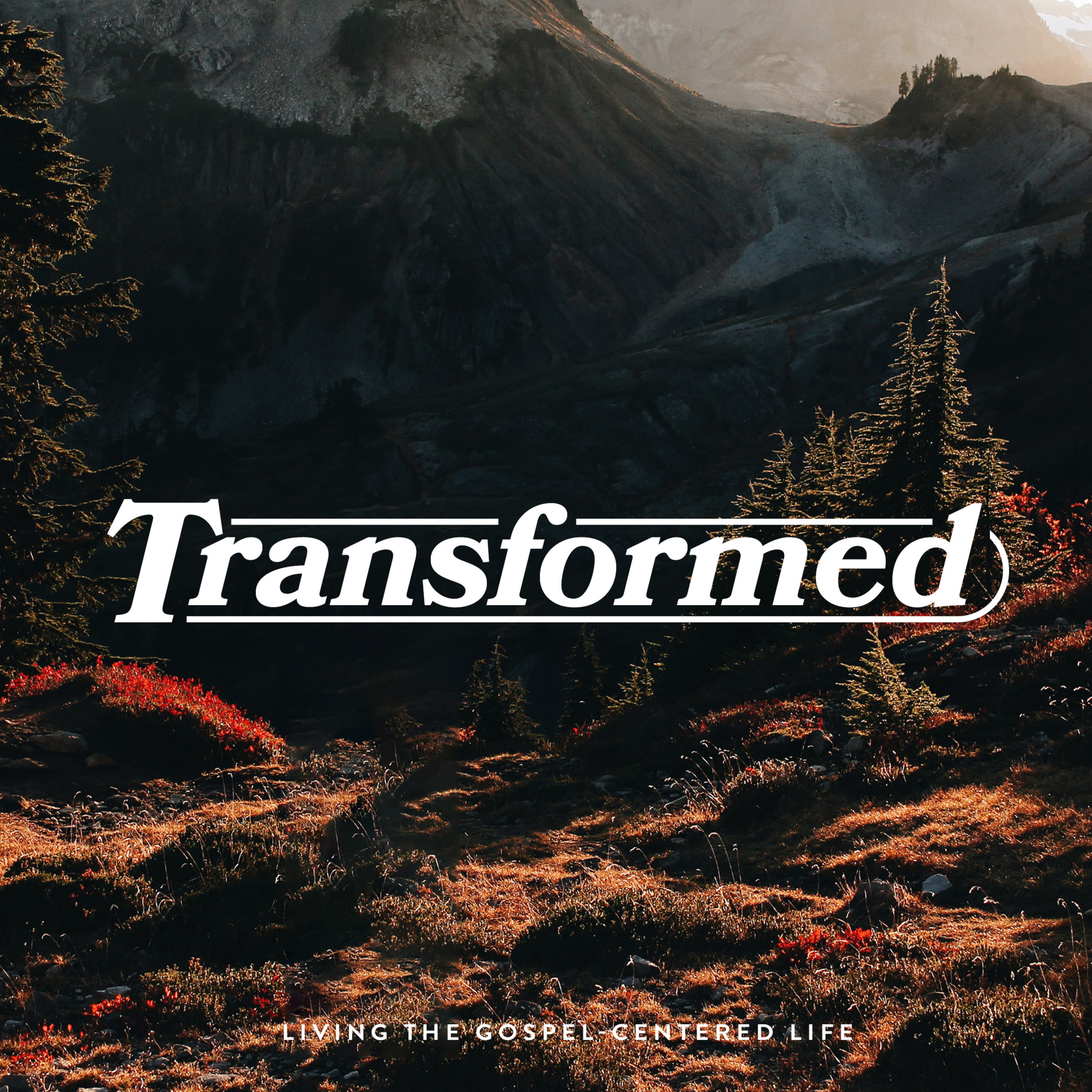 When Forgiveness Feels Impossible | November 16, 2025 episode artwork