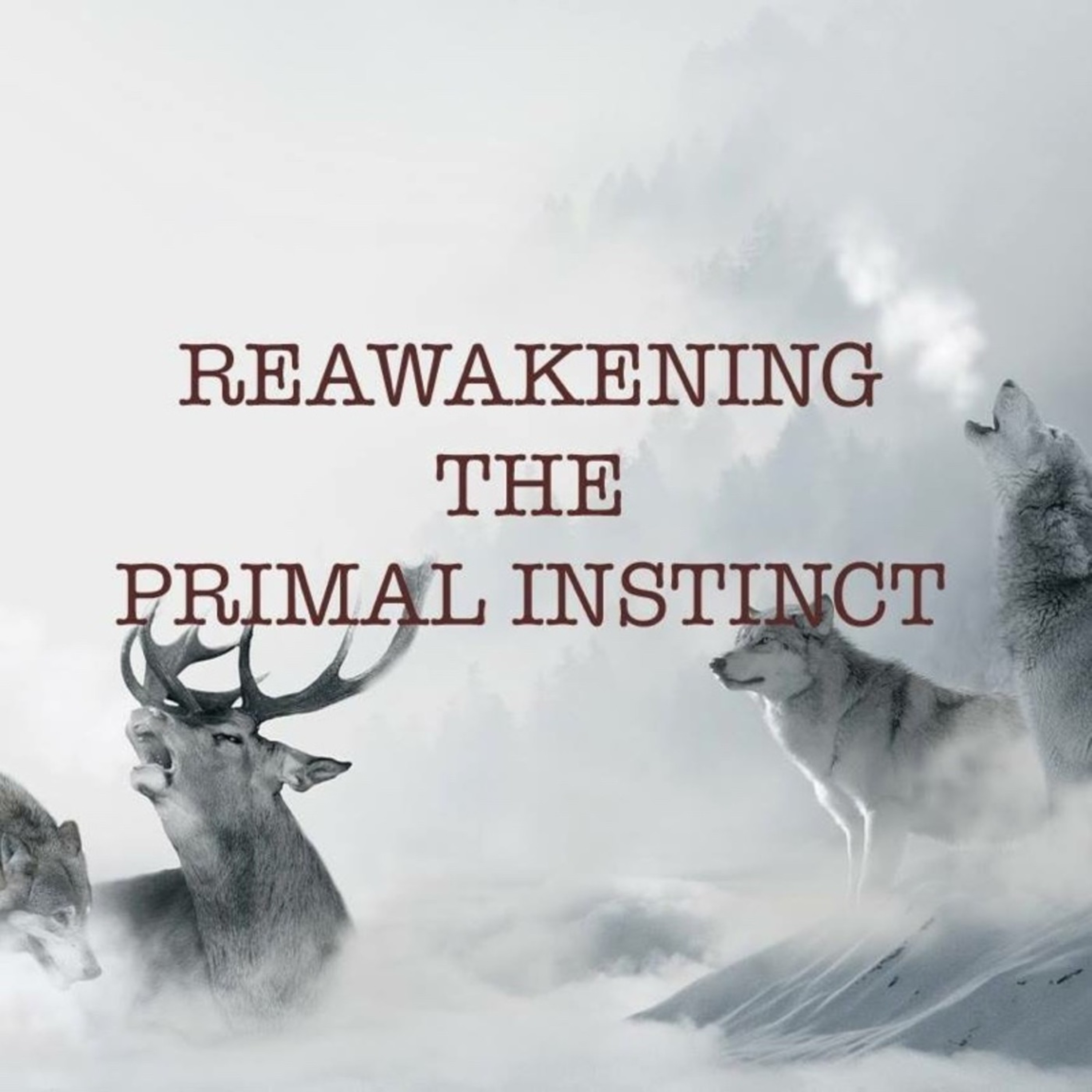 Episode 13 - Reawakening The Primal Instinct