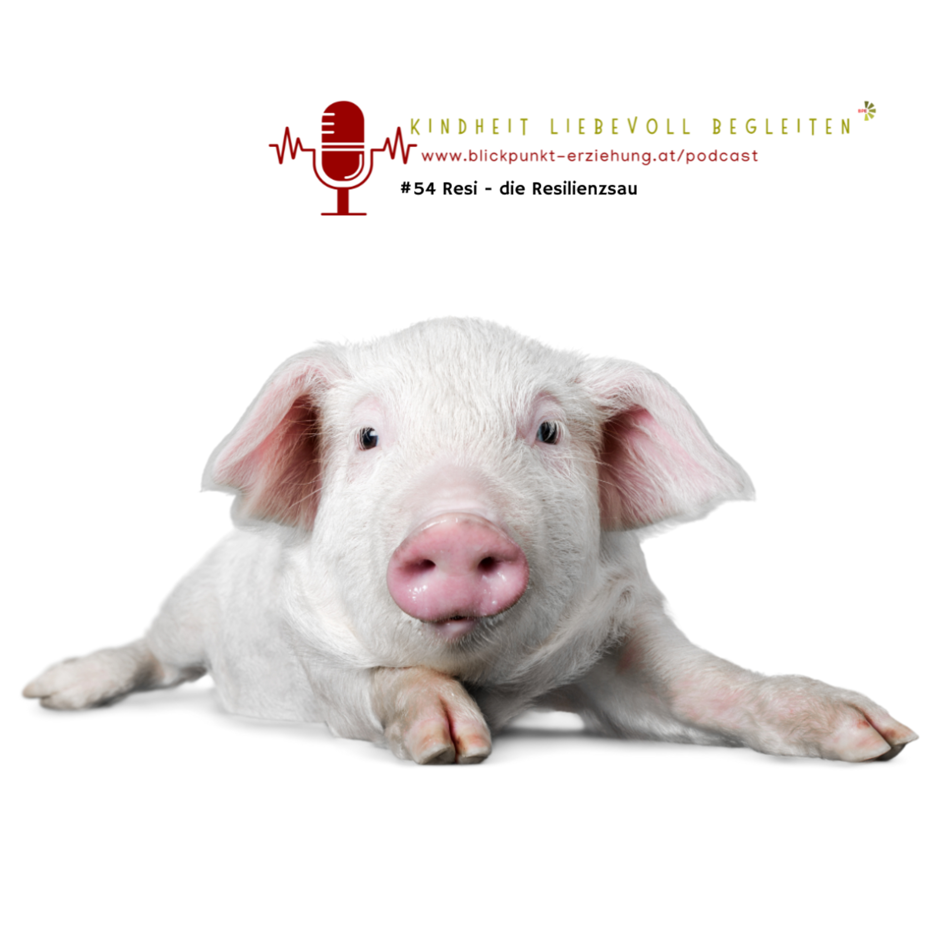 #54 Resi – die Resilienzsau