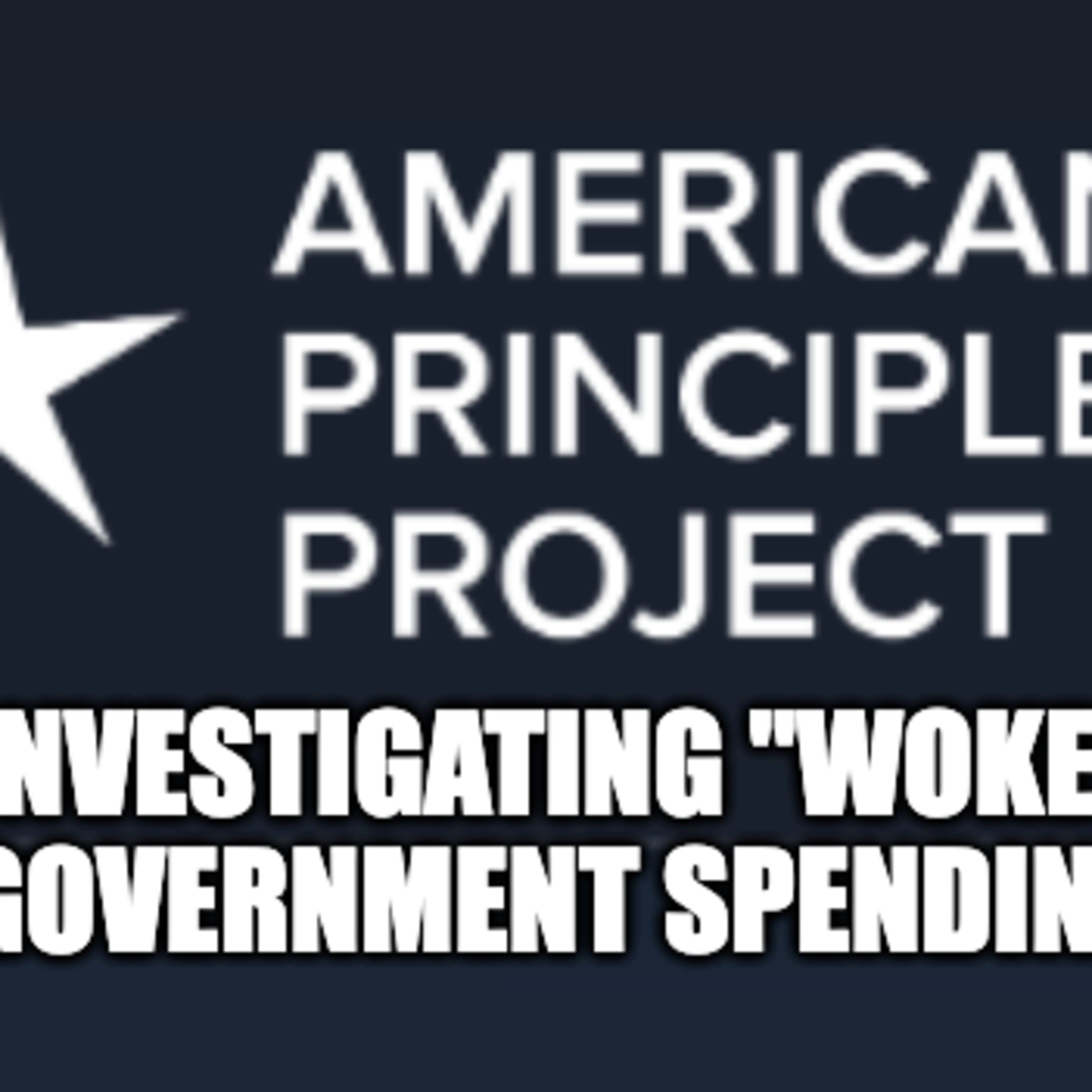 Investigating "Woke" Spending in the Government: They just hate LGBTQ+ non-profits