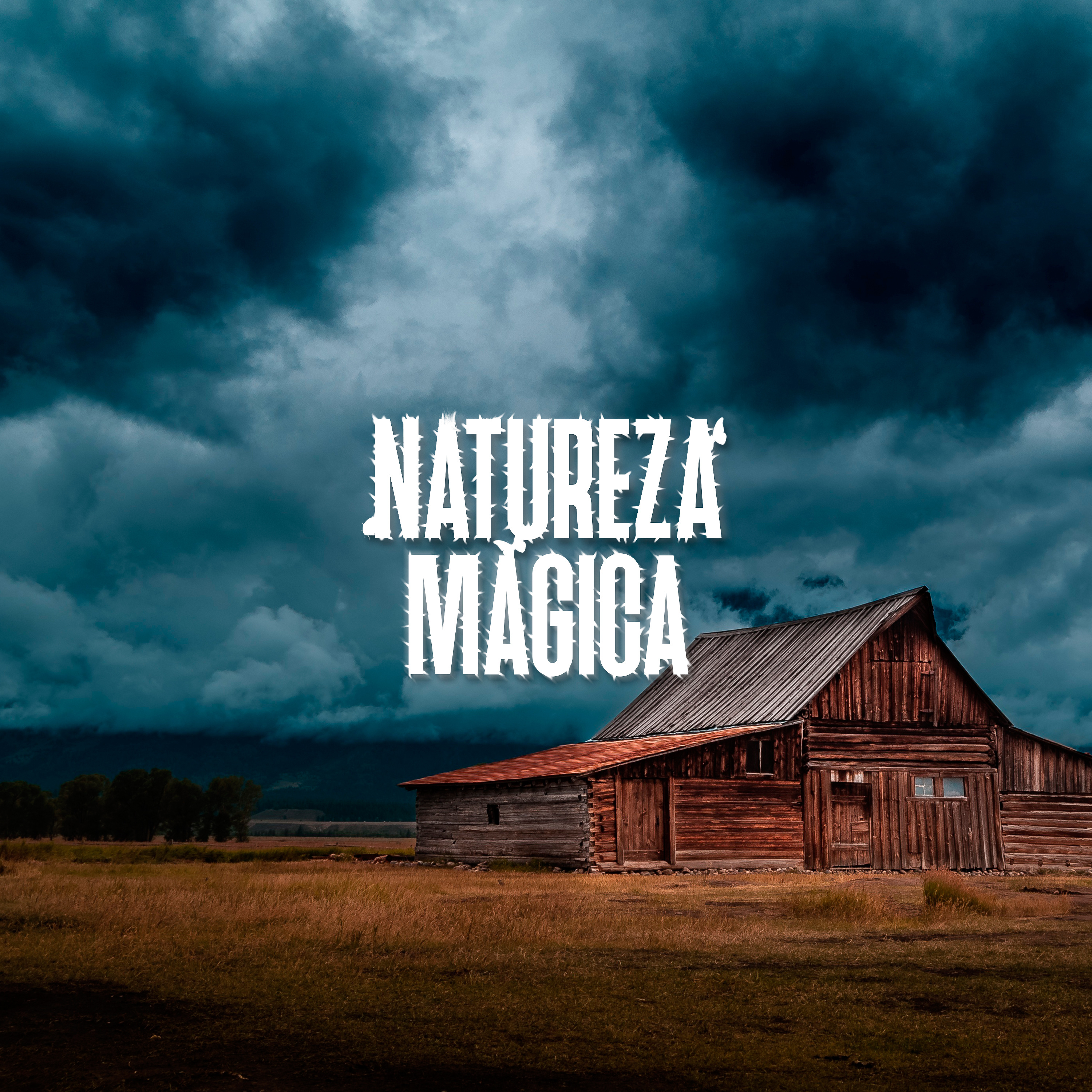 Som de Tempestade no Celeiro • 8 horas Som de Tempestade no Celeiro • 8 horas
