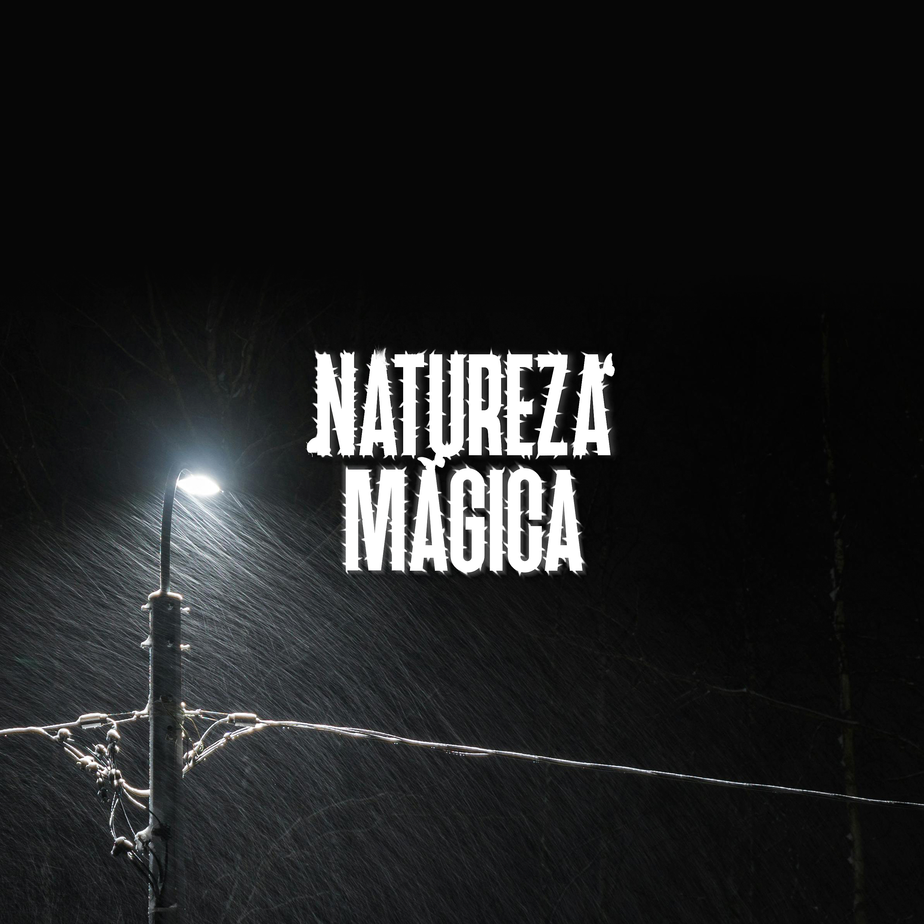 Barulho de Chuva para Dormir • 1 hora Barulho de Chuva para Dormir • 1 hora