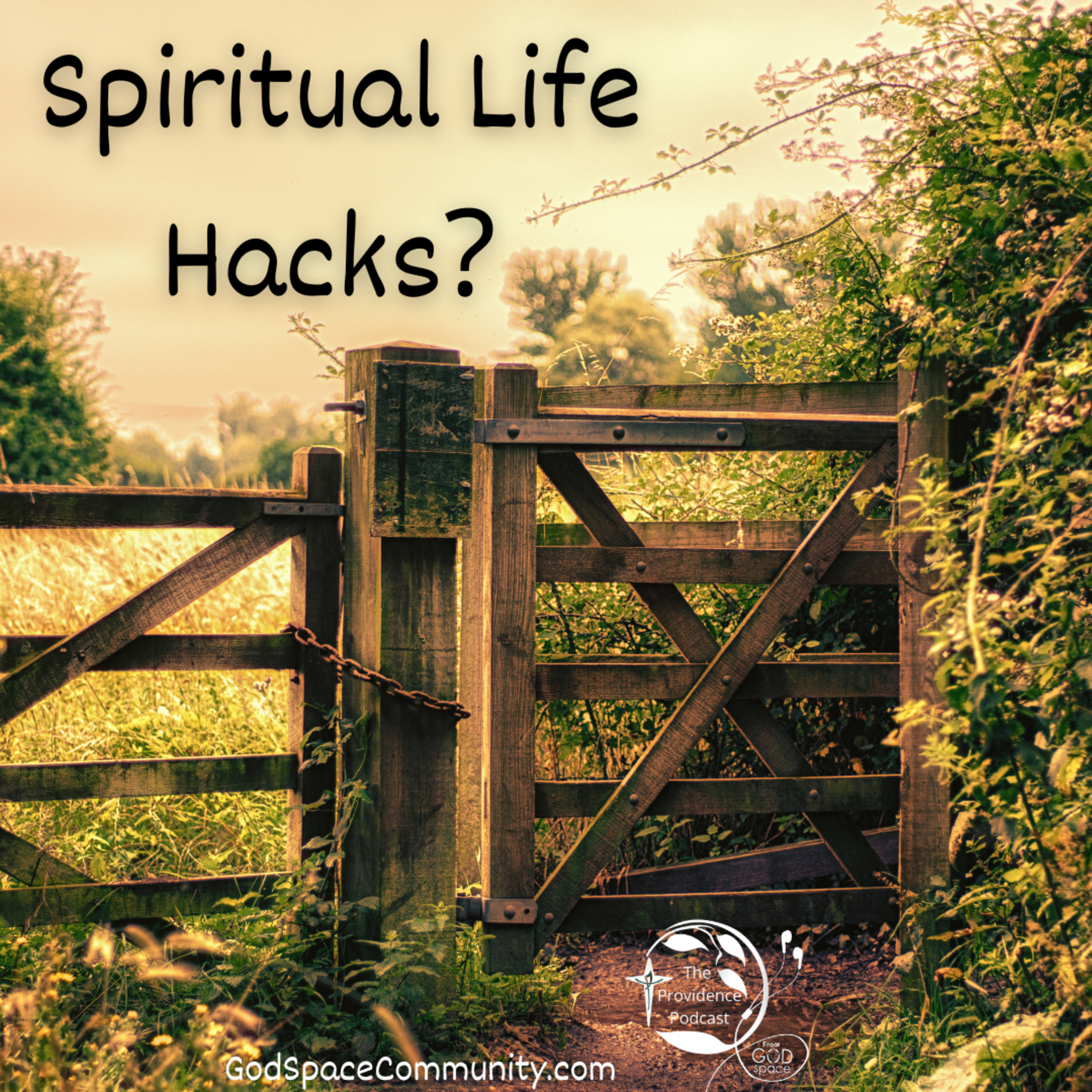 Spiritual Life Hacks?  episode artwork