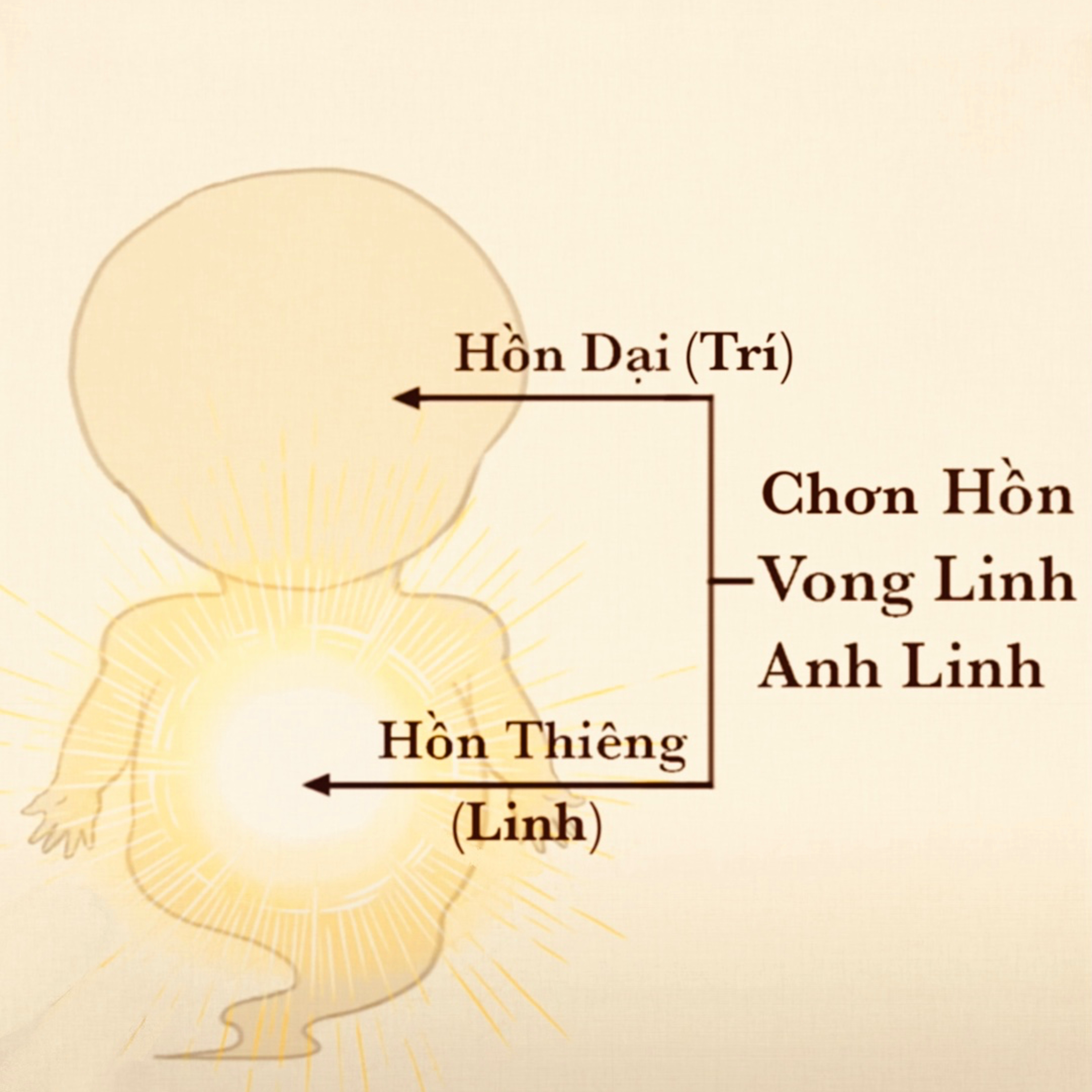 Sự khác nhau giữa chơn hồn, vong linh, anh linh