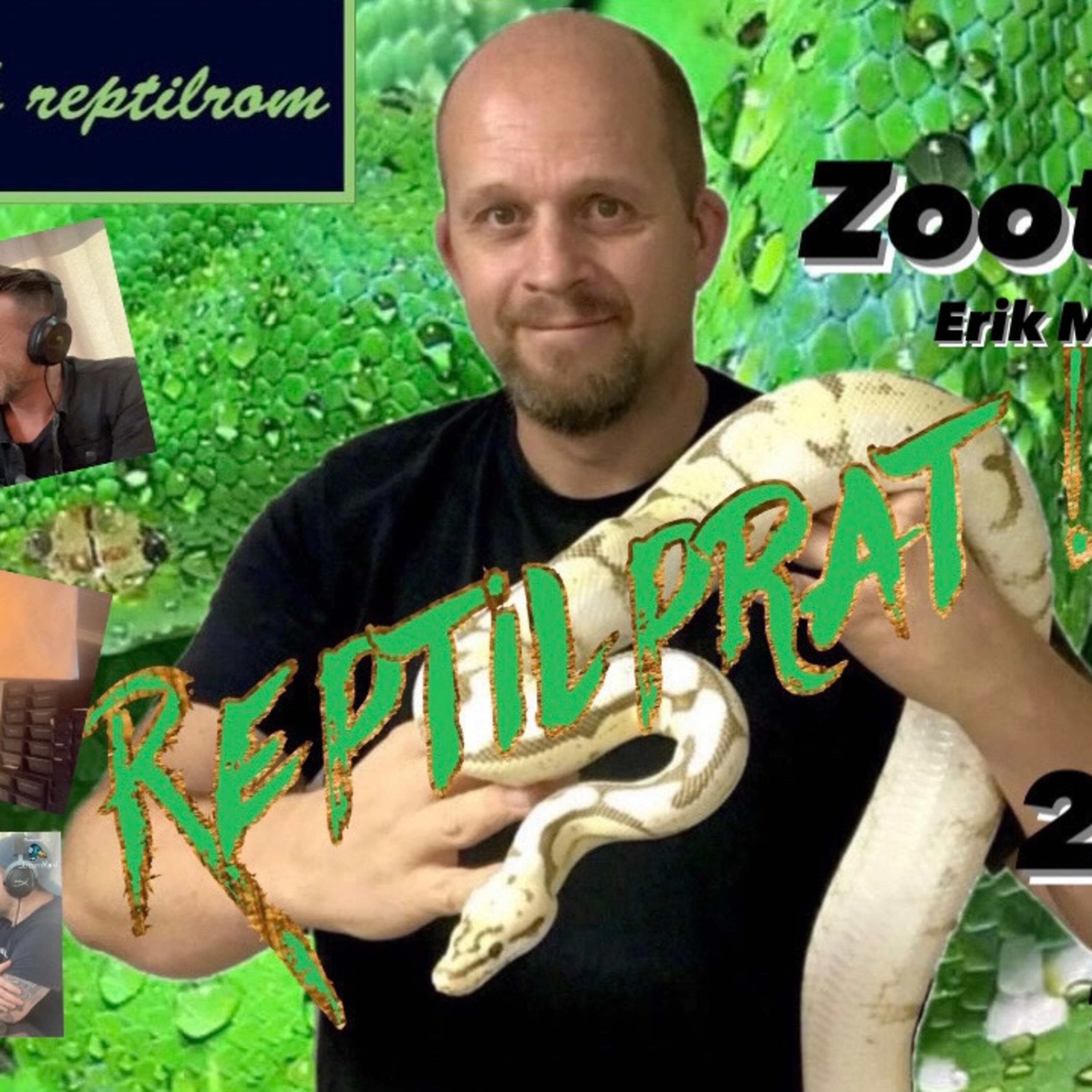 REPTILPRAT !