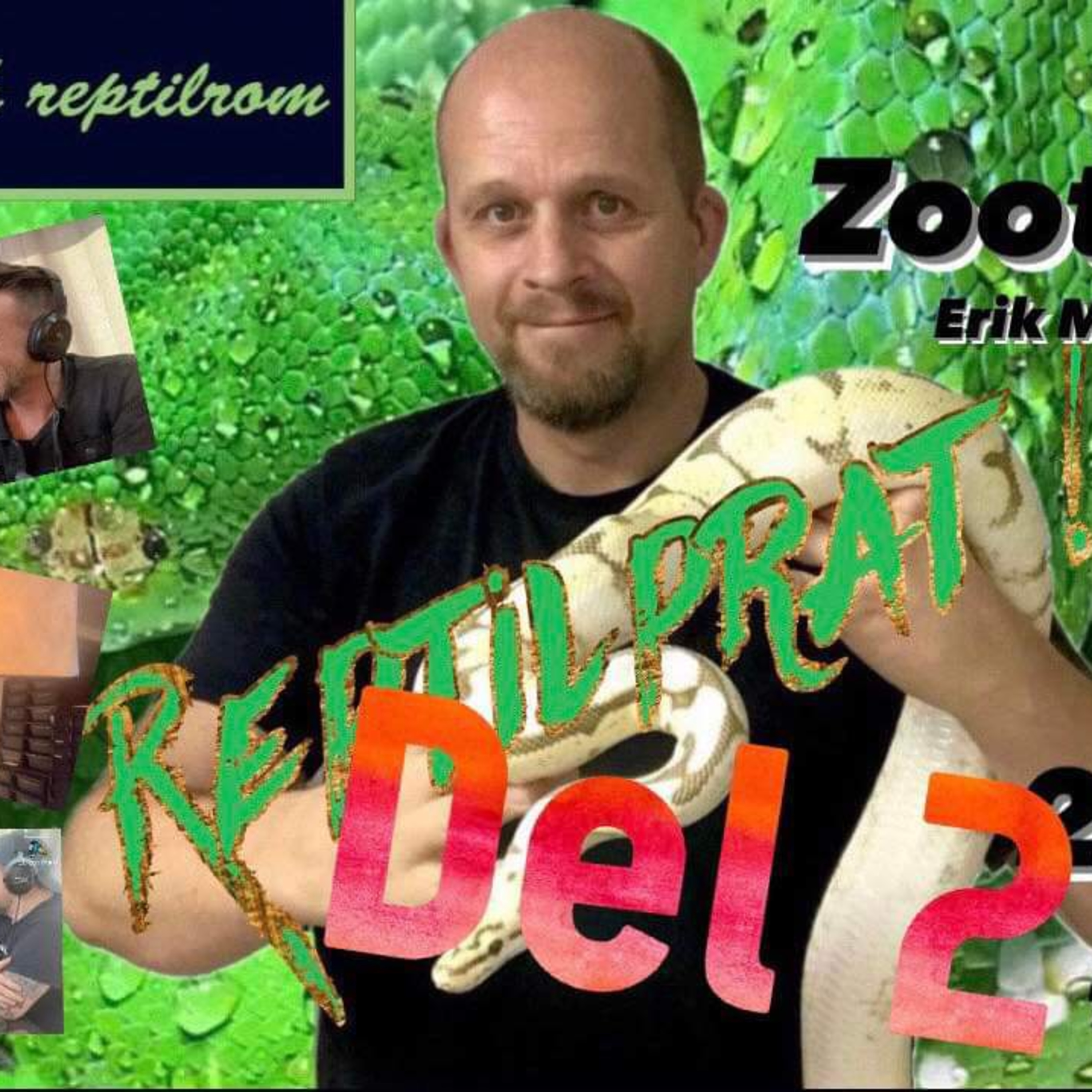 REPTILPRAT !