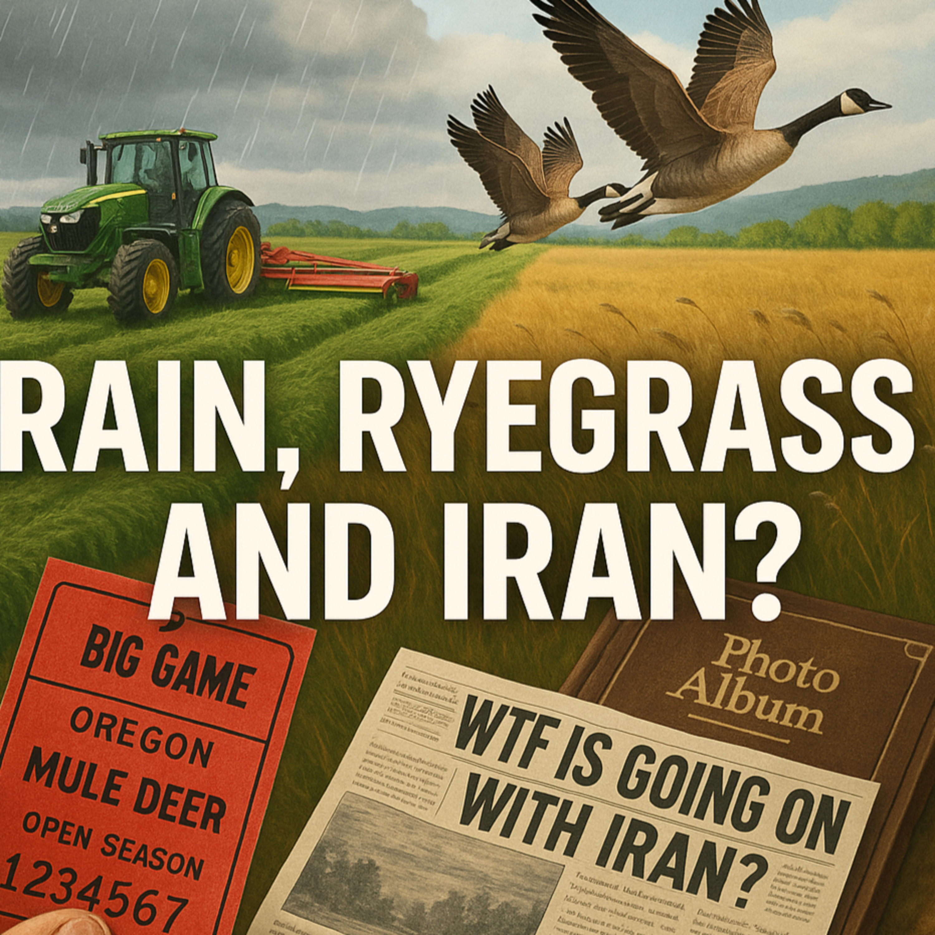Rain, Ryegrass, and Iran? 