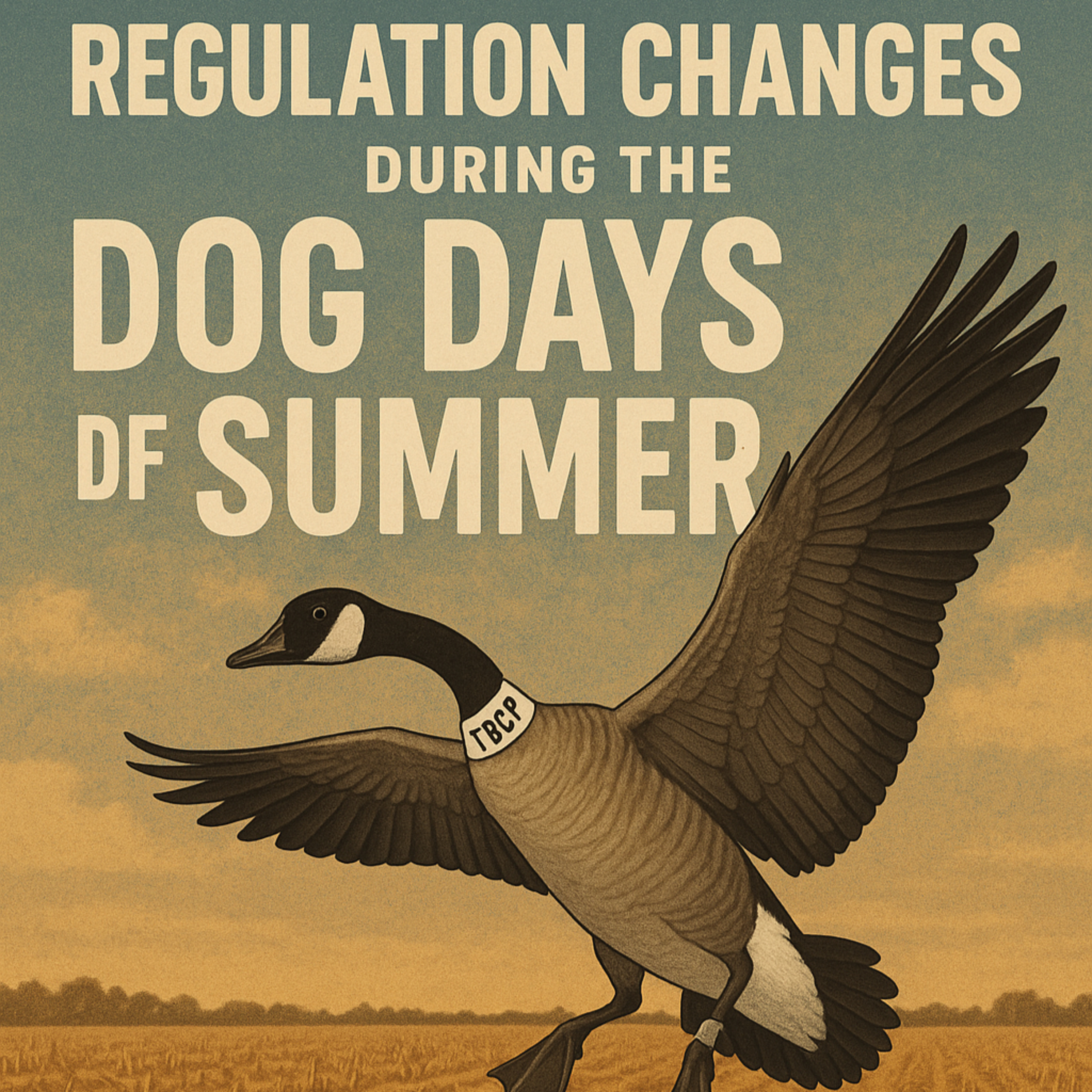 New Regs and what’s new! 