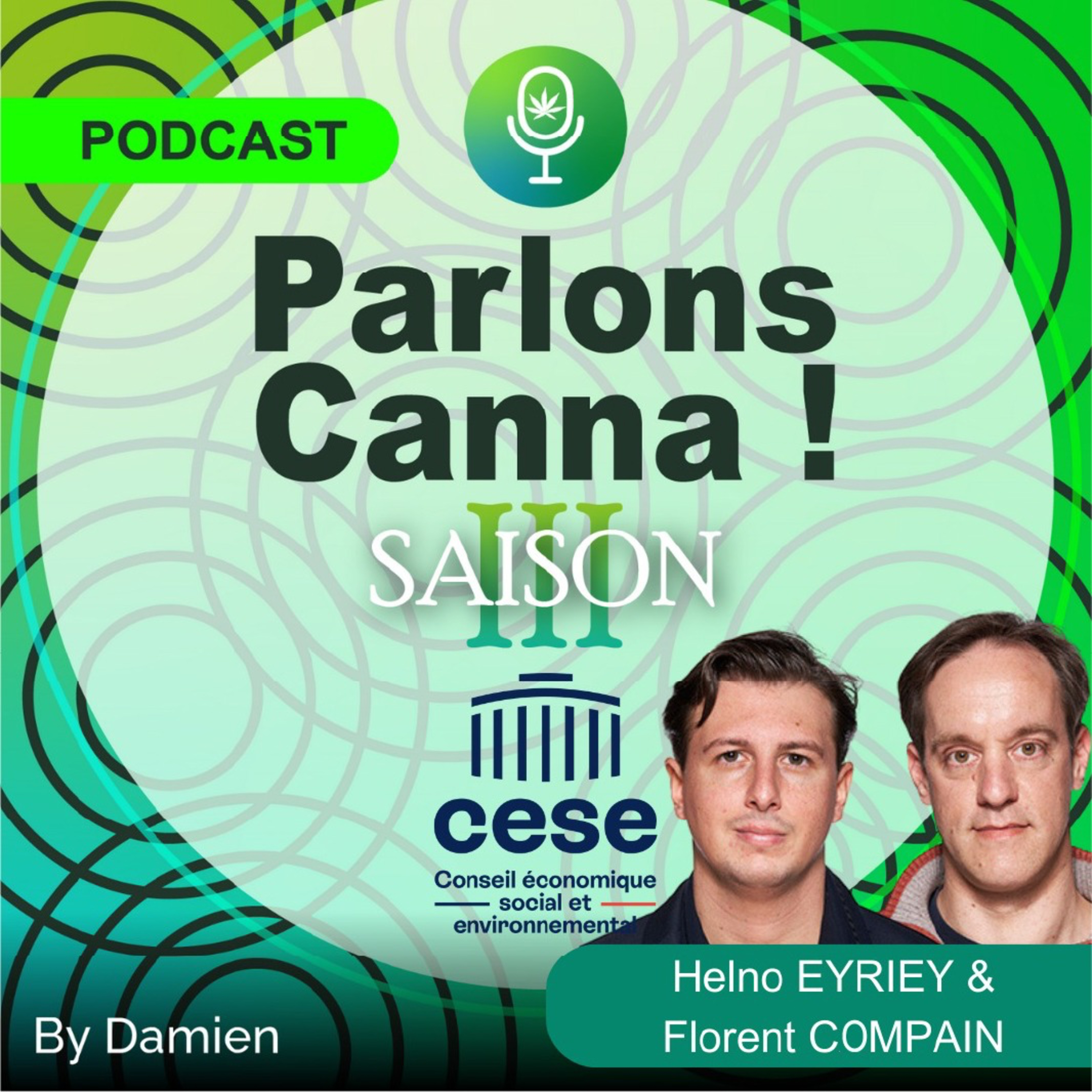 98/La troisième assemblée constitutionnelle favorable à une légalisation encadrée du cannabis, Partie 2 - Florent COMPAIN, Helno EYRIEY - Conseil Economique Social et Environnemental (CESE)