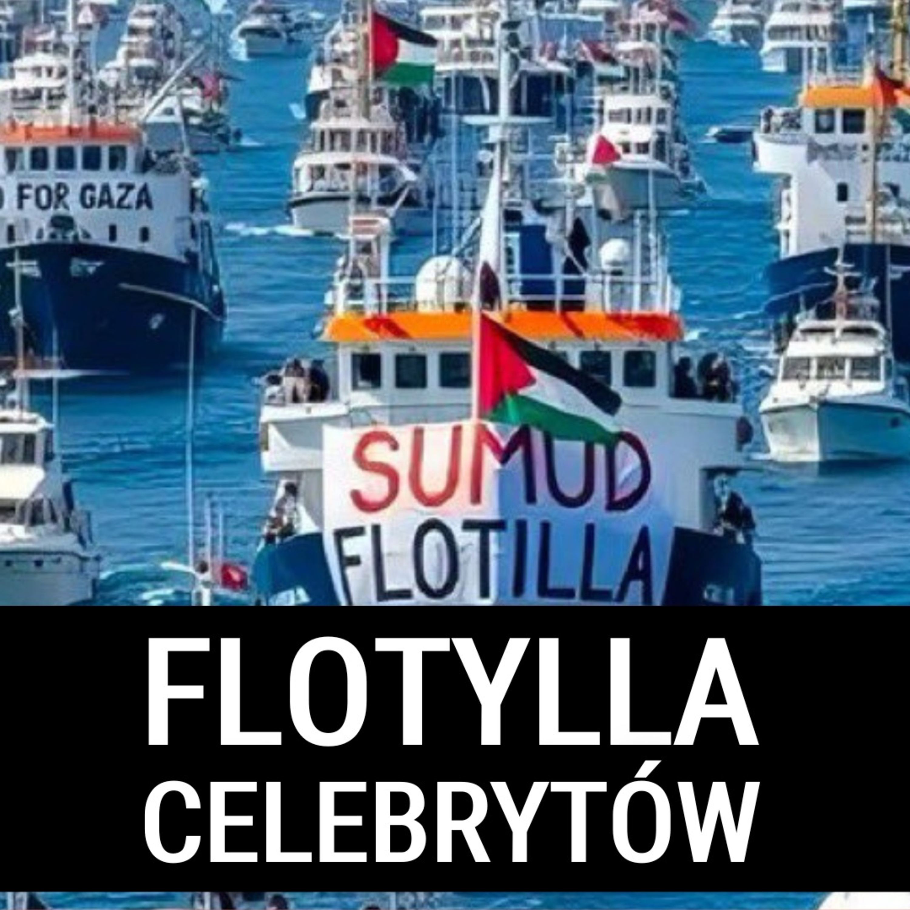 Izrael miał prawo zatrzymać flotyllę? Aktywiści popłynęli robić selfie czy nieść pomoc Palestynie?