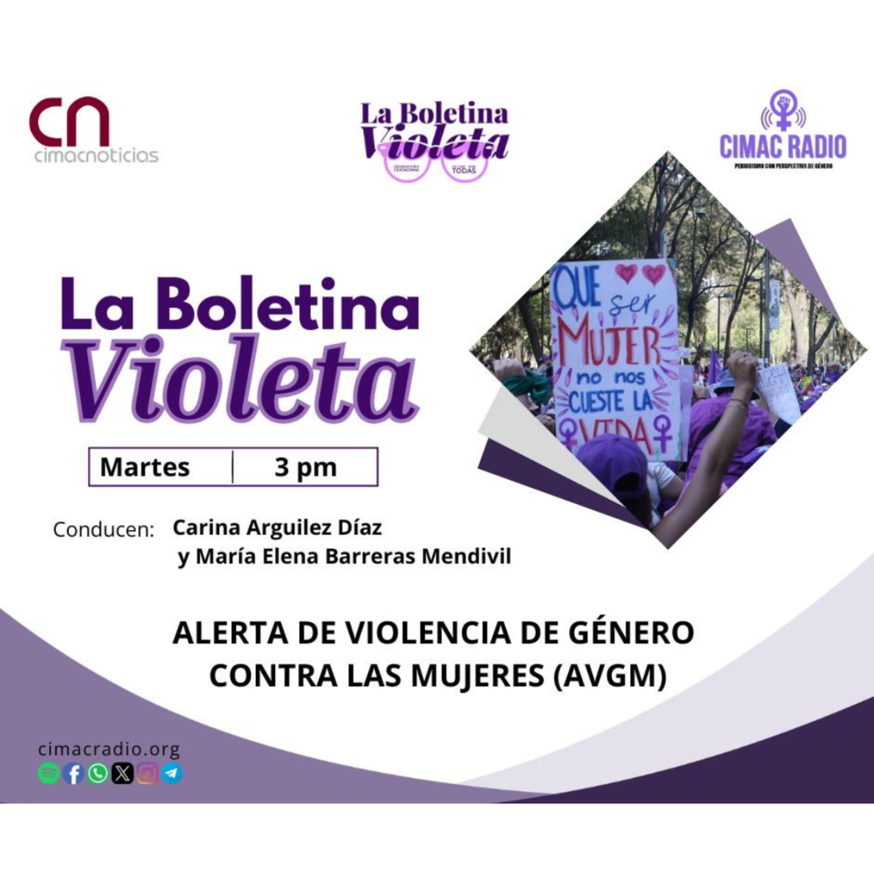 LA BOLETINA VIOLETA: "La alerta de violencia de género contras las mujeres y su estado actual en Sonora". episode artwork