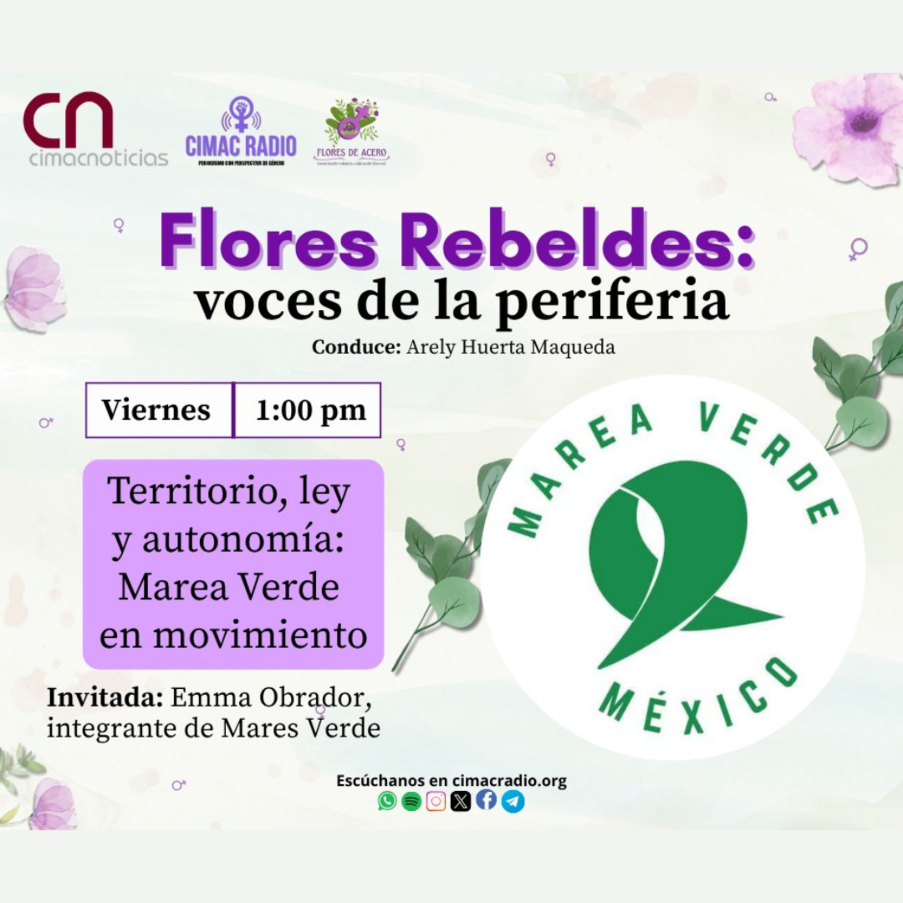 FLORES REBELDES, VOCES DE LA PERIFERIA: "Territorio, ley y autonomía: Marea Verde en movimiento". episode artwork