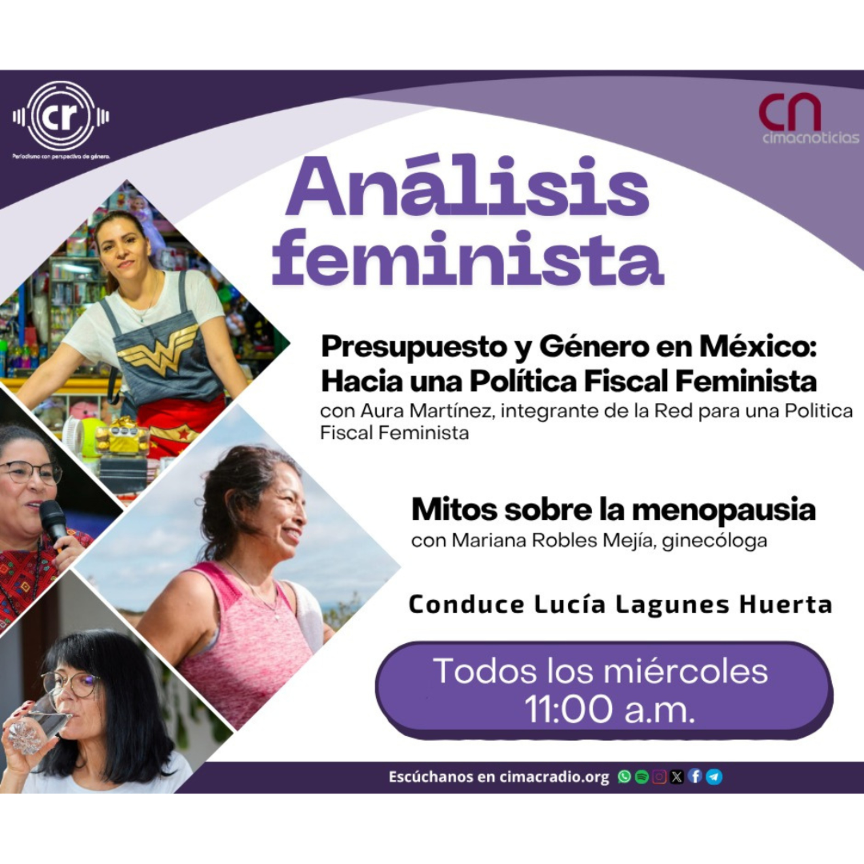 ANÁLISIS FEMNISTA: "Diagnóstico del presupuesto para la igualdad sustantiva en México desde el enfoque de una política fiscal feminista.". episode artwork