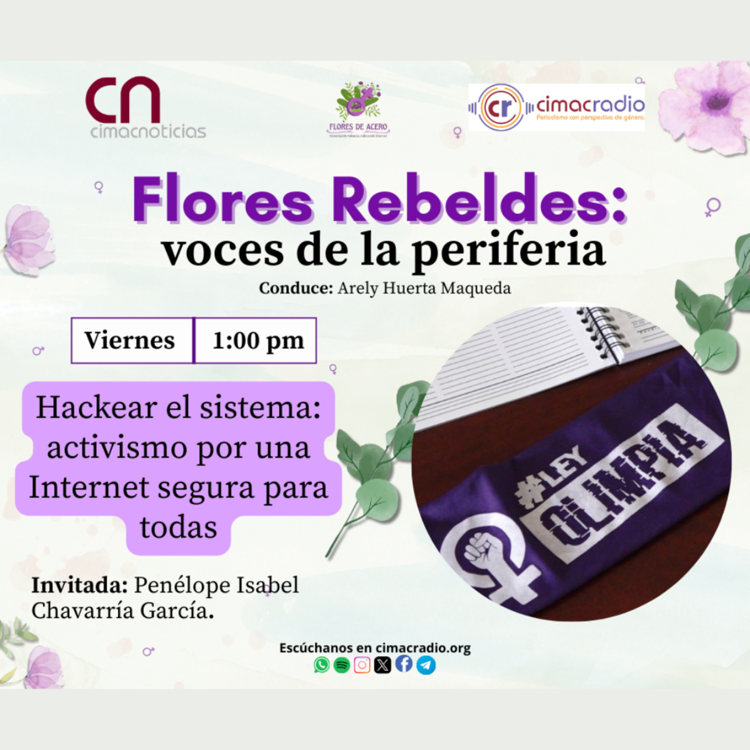 FLORES REBELDES, VOCES DE LA PERIFERIA: "Hackear el sistema: activismo por una Internet segura para todas." episode artwork