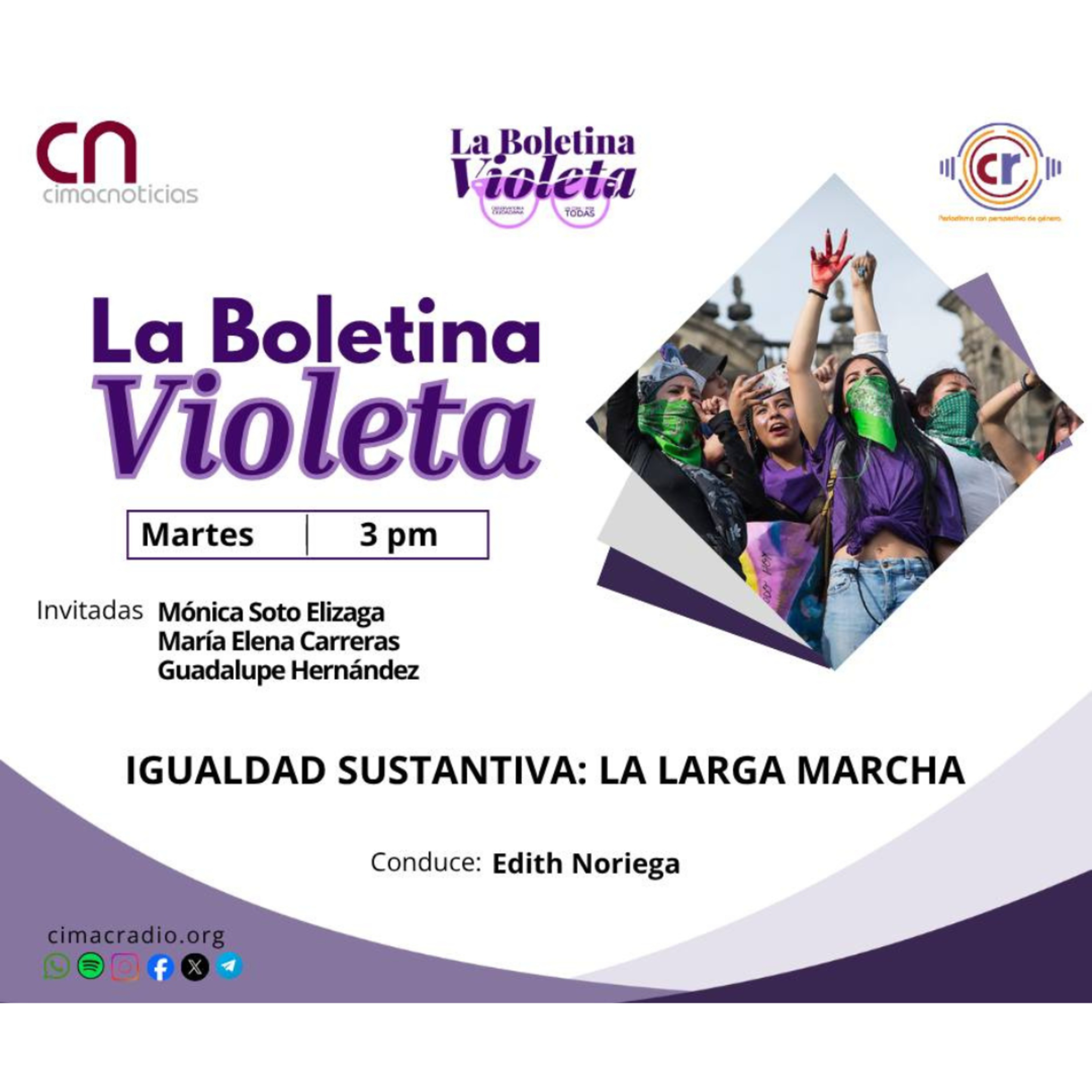 LA BOLETINA VIOLETA: "Igualdad Sustantiva: La Larga Marcha." episode artwork