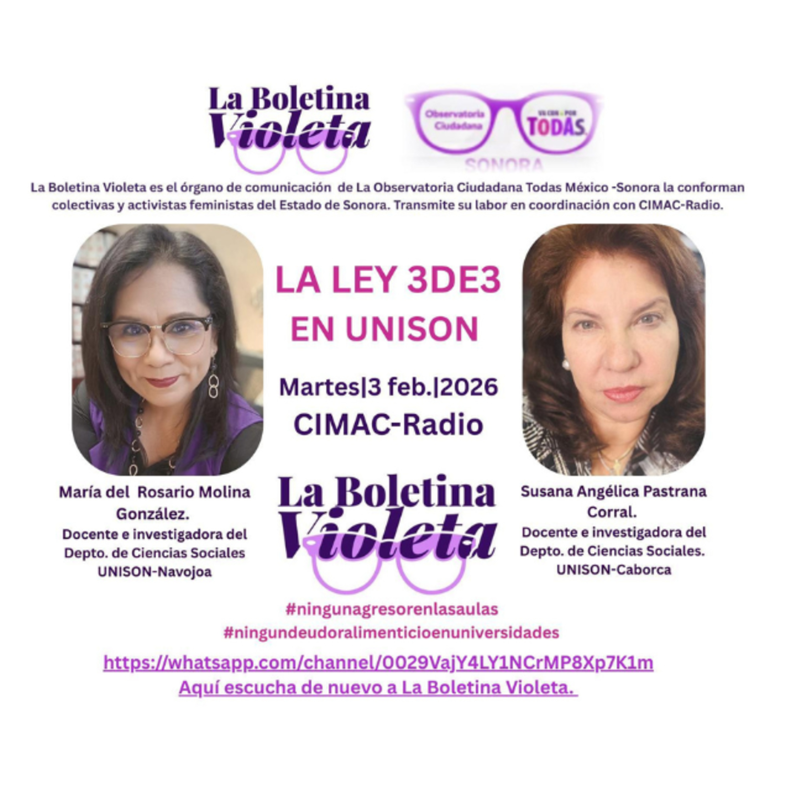 La Boletina Violeta: La Ley 3 de 3 en la unison y desafíos actuales episode artwork