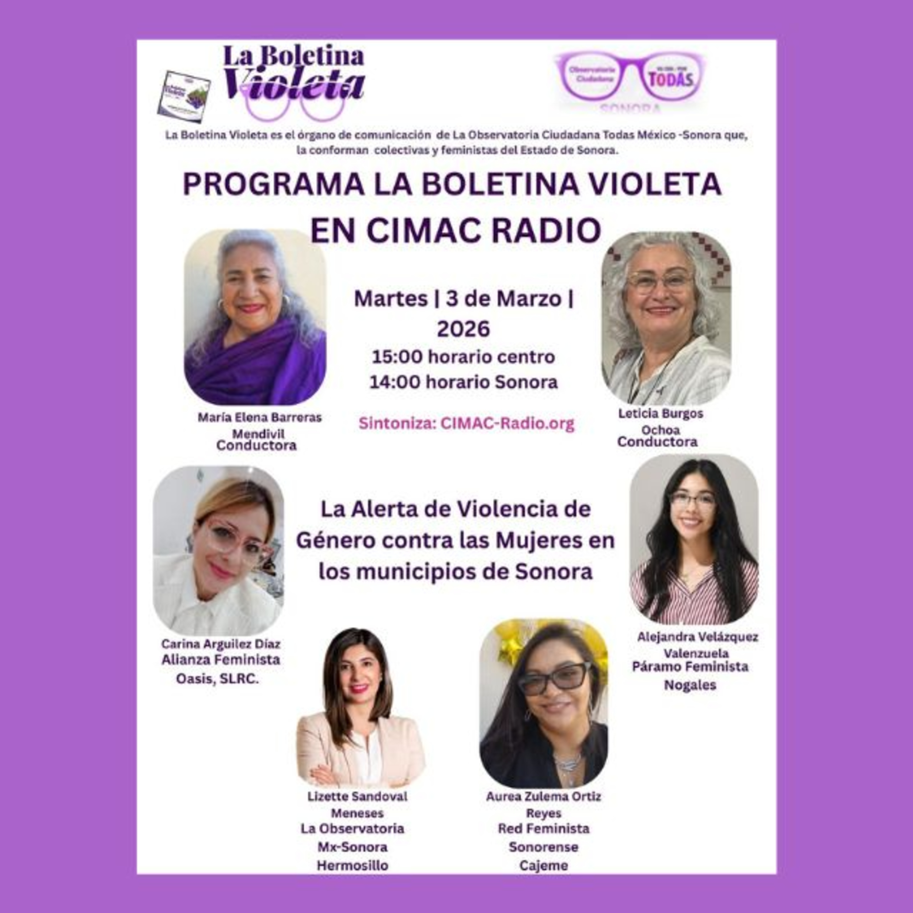 La boletina violeta: La AVGM en los municipios de Sonora episode artwork