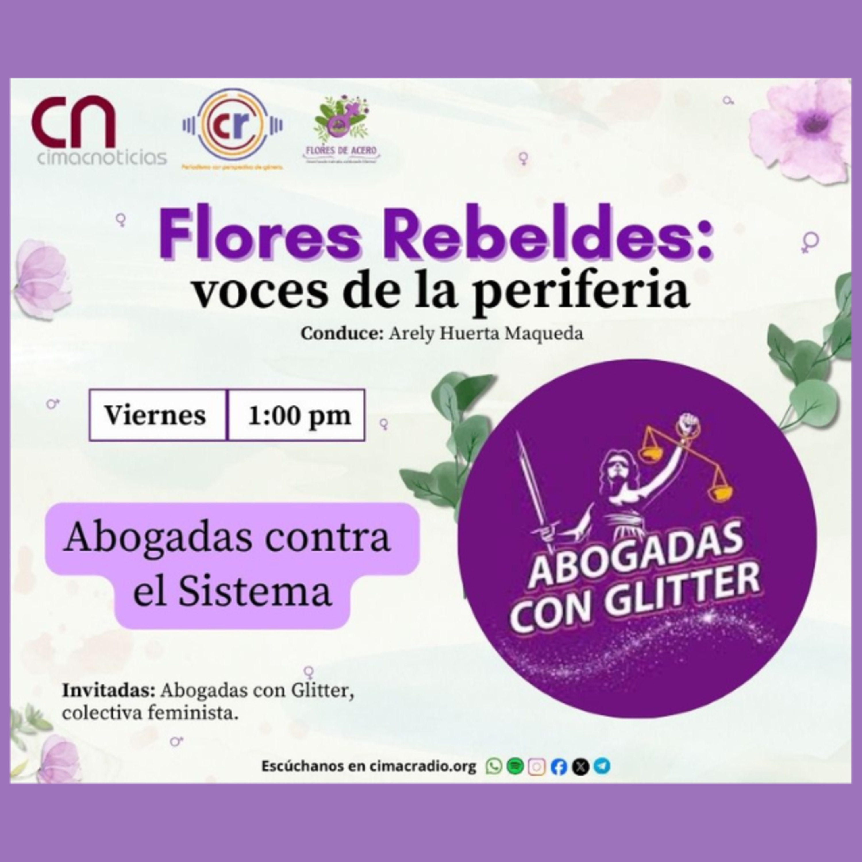 Flores Rebeldes: Abogadas contra el Sistema episode artwork