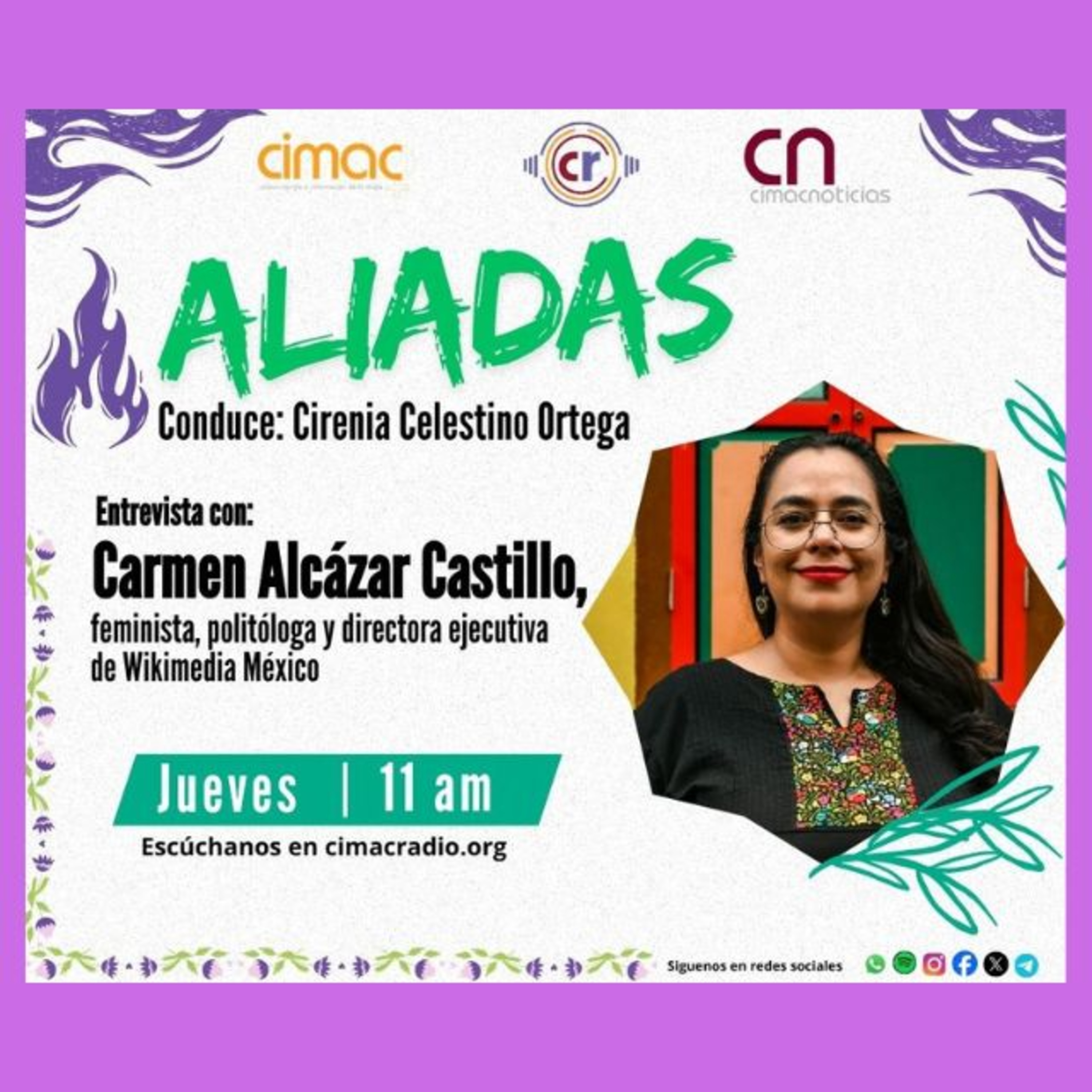 Aliadas: Wikipedia también es feminista episode artwork