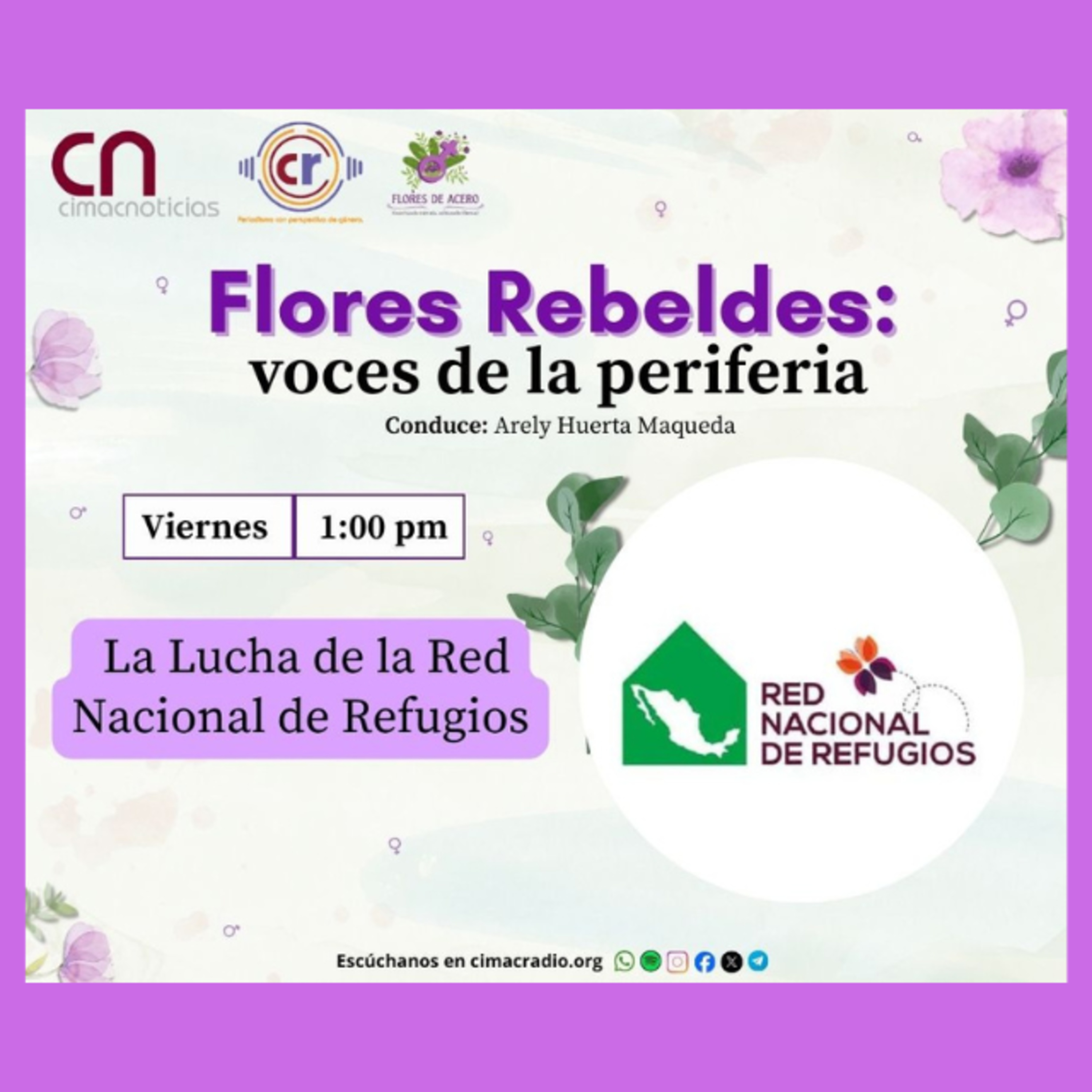 Flores Rebeldes: Redes que Salvan Vidas: La Lucha de la Red Nacional de Refugios episode artwork