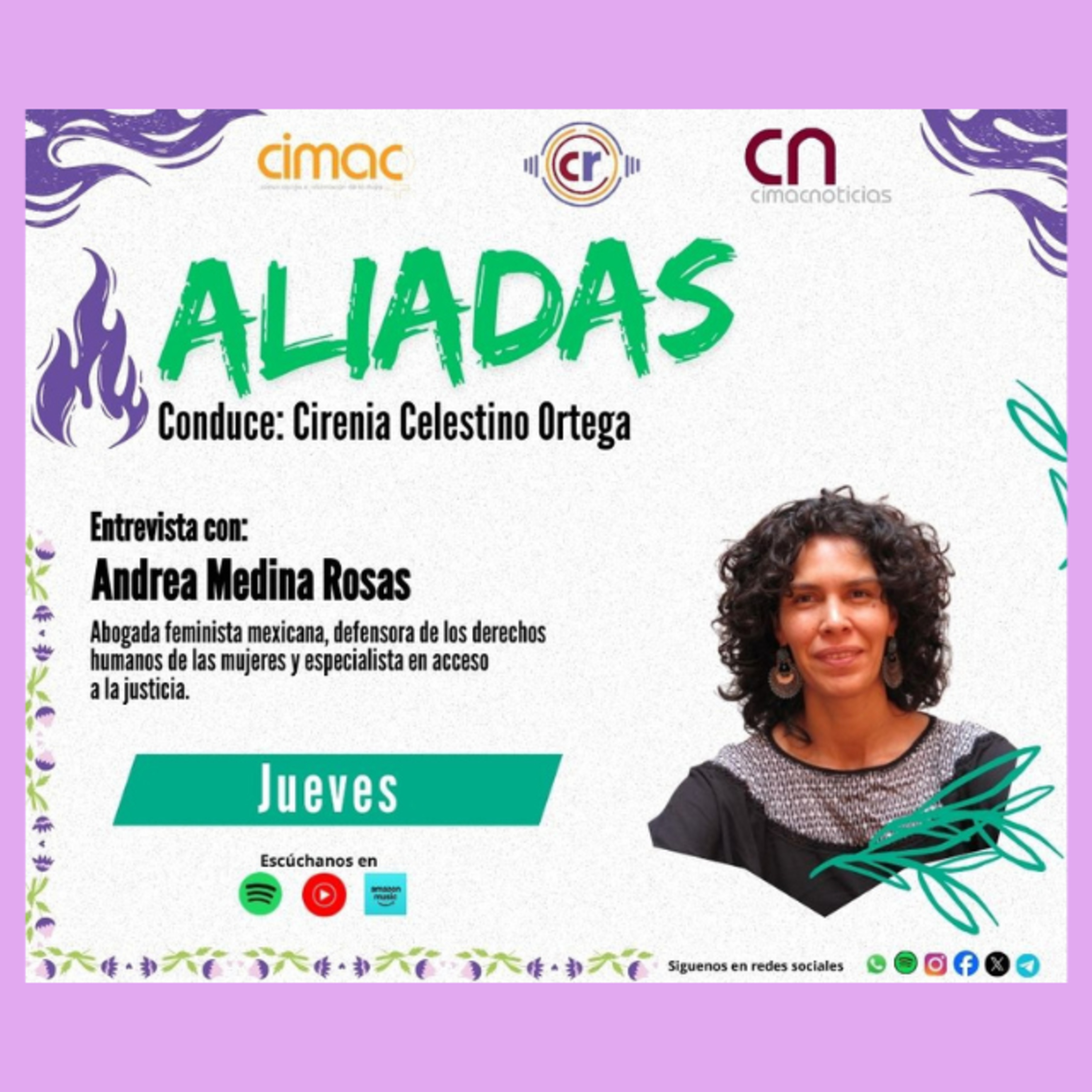 Aliadas: Andrea Medina Rosas, abogada feminista mexicana, defensora de los derechos humanos de las mujeres y especialista en acceso a la justicia episode artwork