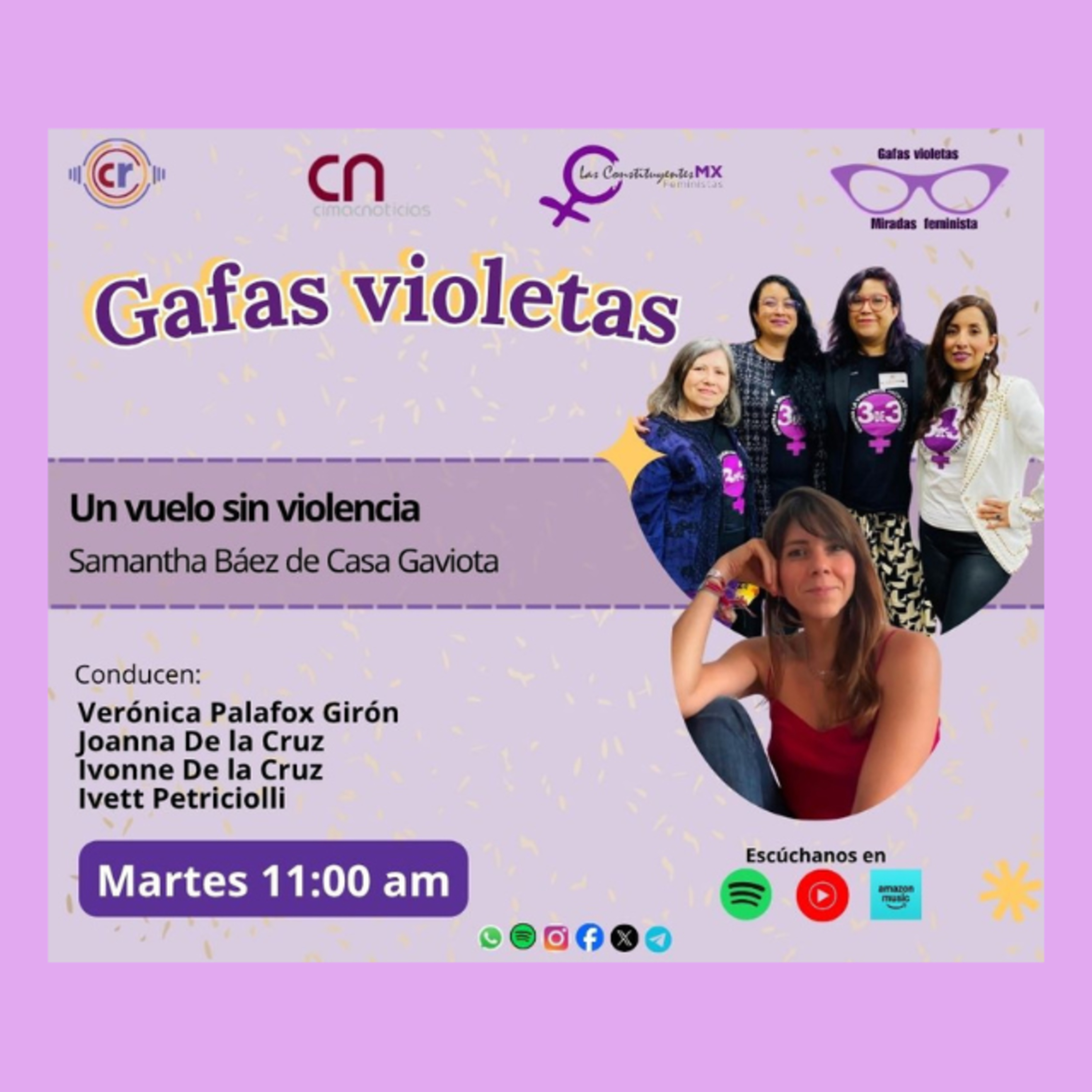 Gafas Violetas: Un vuelo sin violencia episode artwork