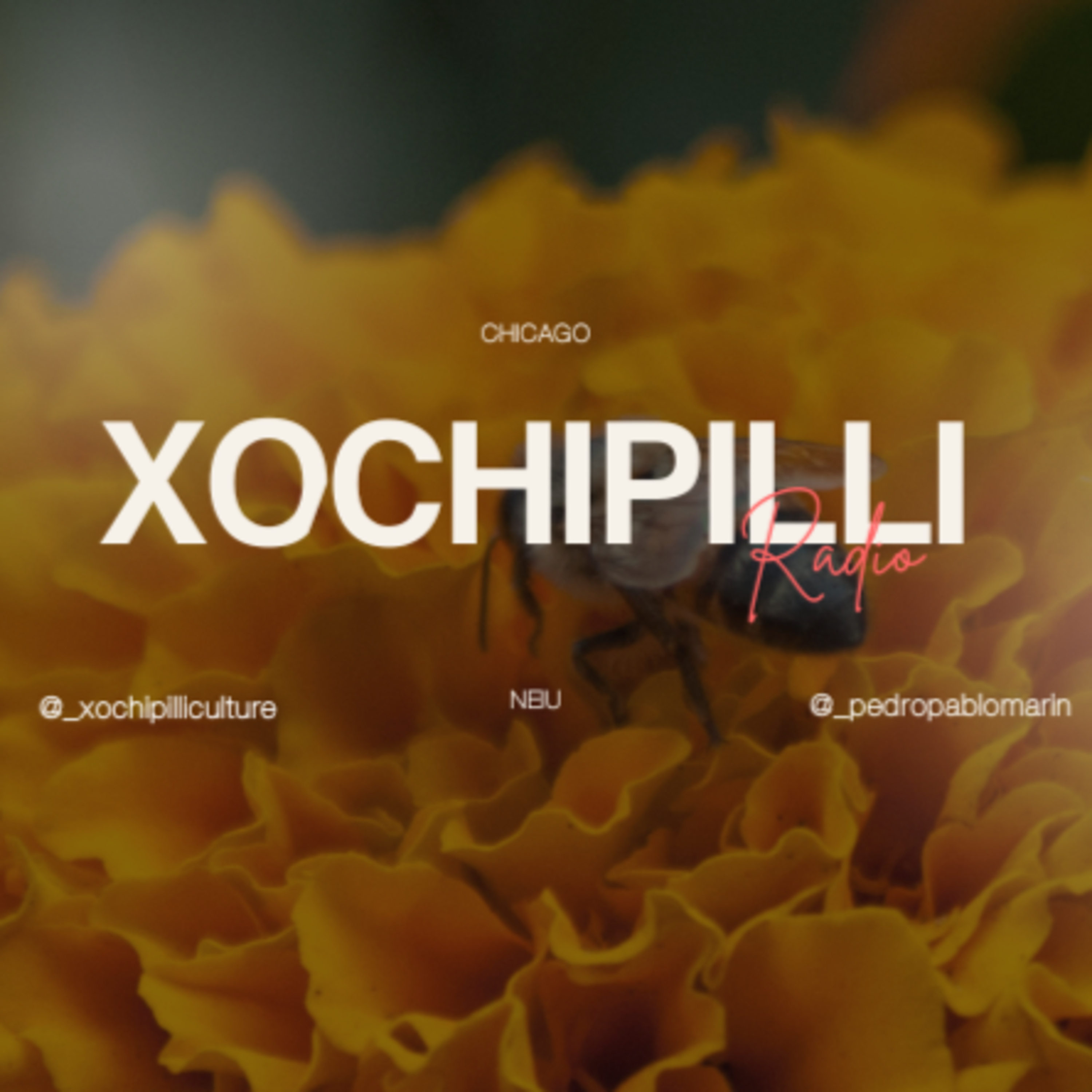 Xochipilli Podcast