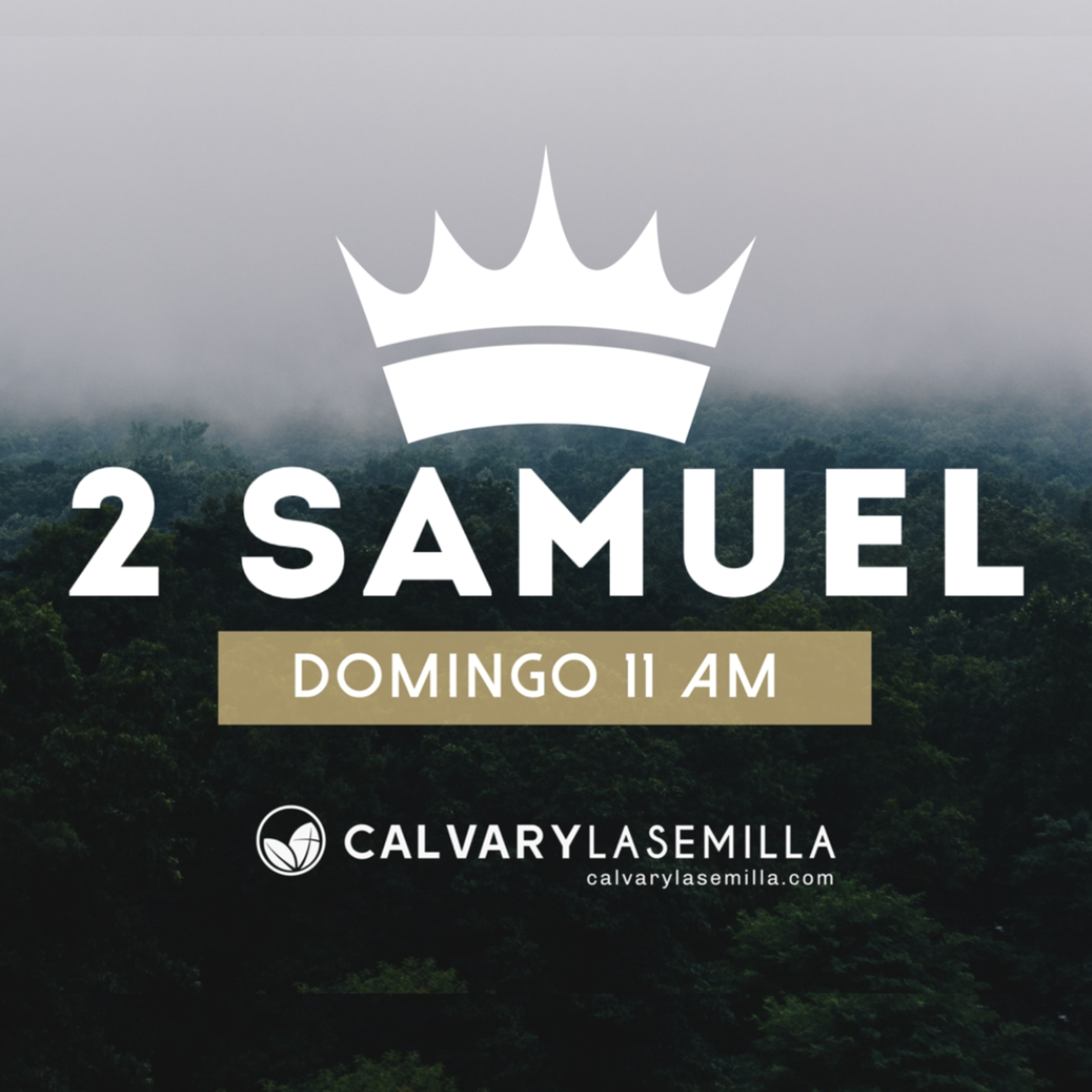 2 Samuel 19 | Restaurando vidas episode artwork