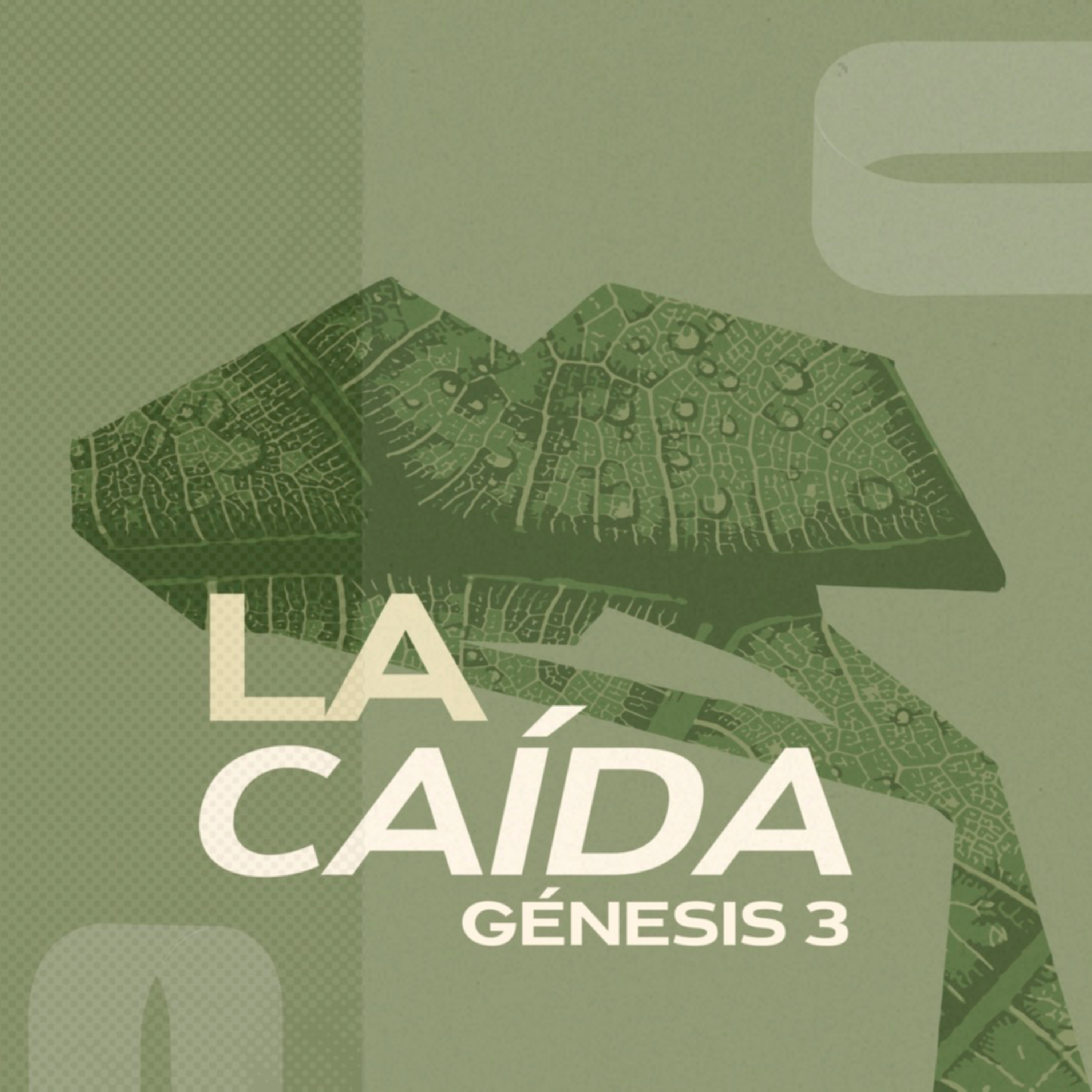 Portada de Iglesia Piedra Angular