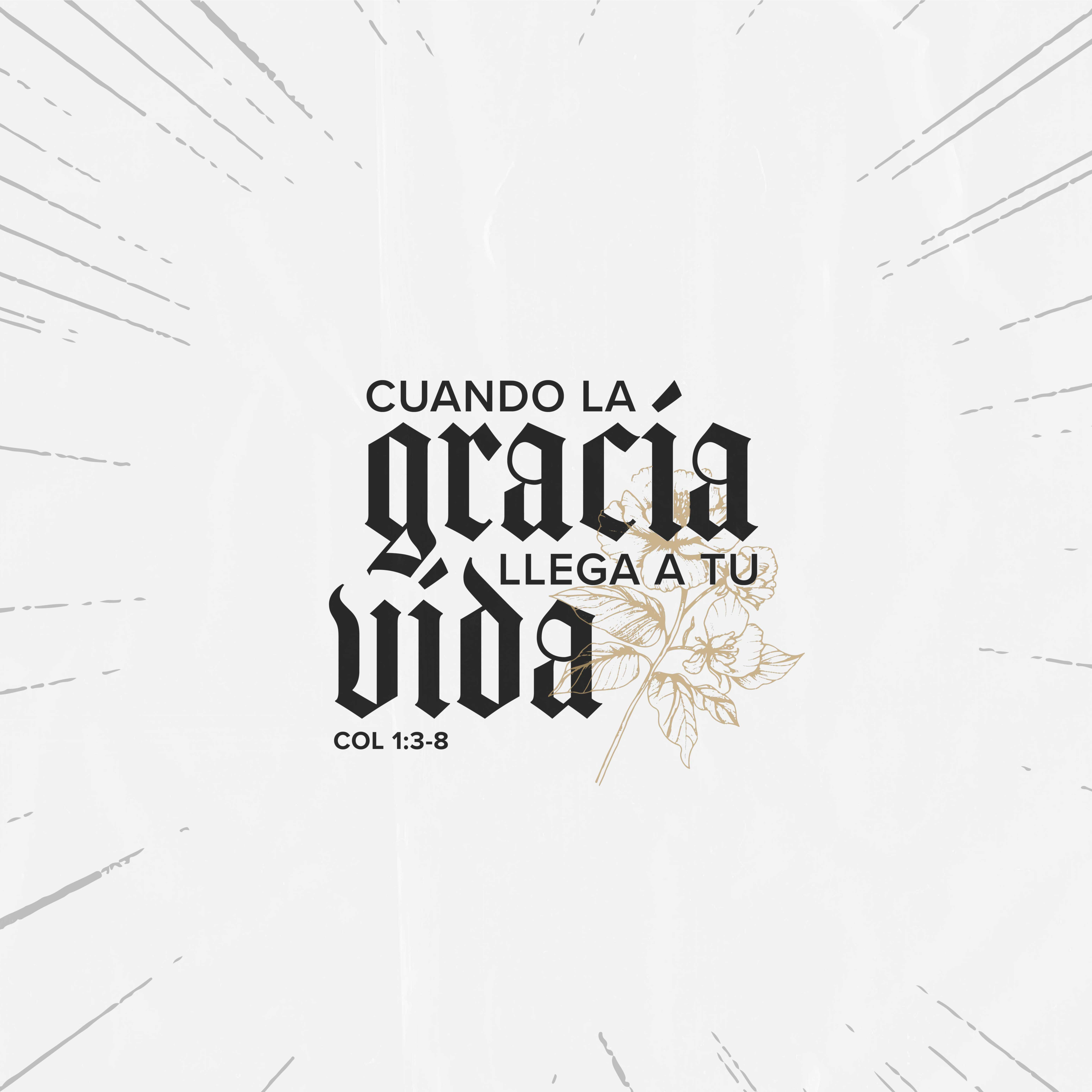 Cuando la gracia llega a tu vida - Colosenses 1:3-8