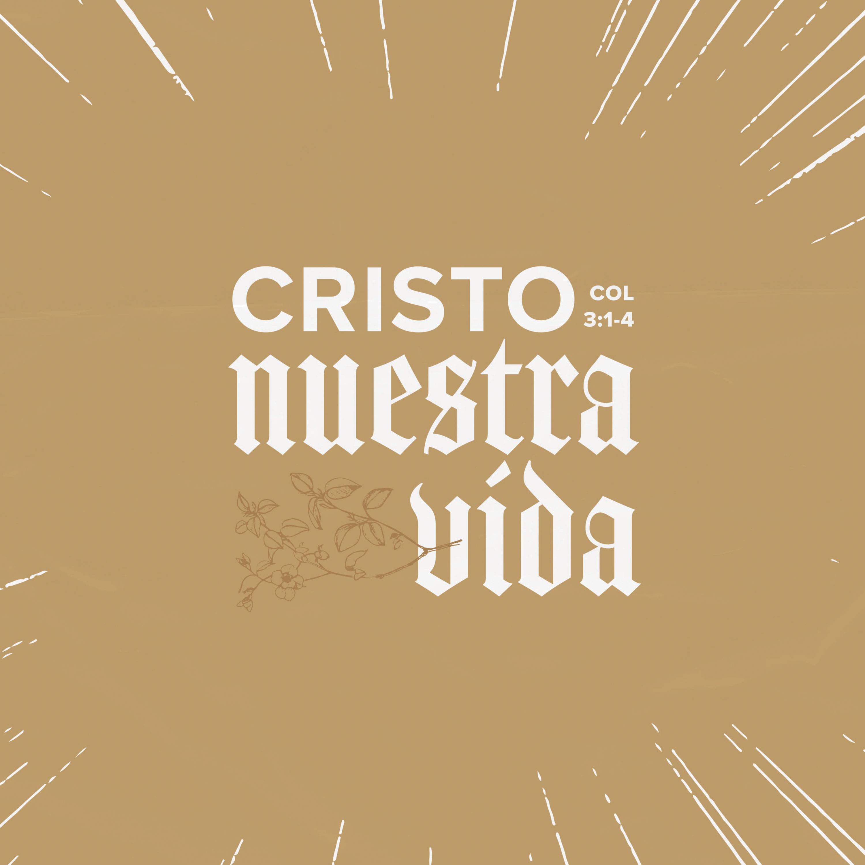 Cristo, nuestra vida - Colosenses 3:1-4