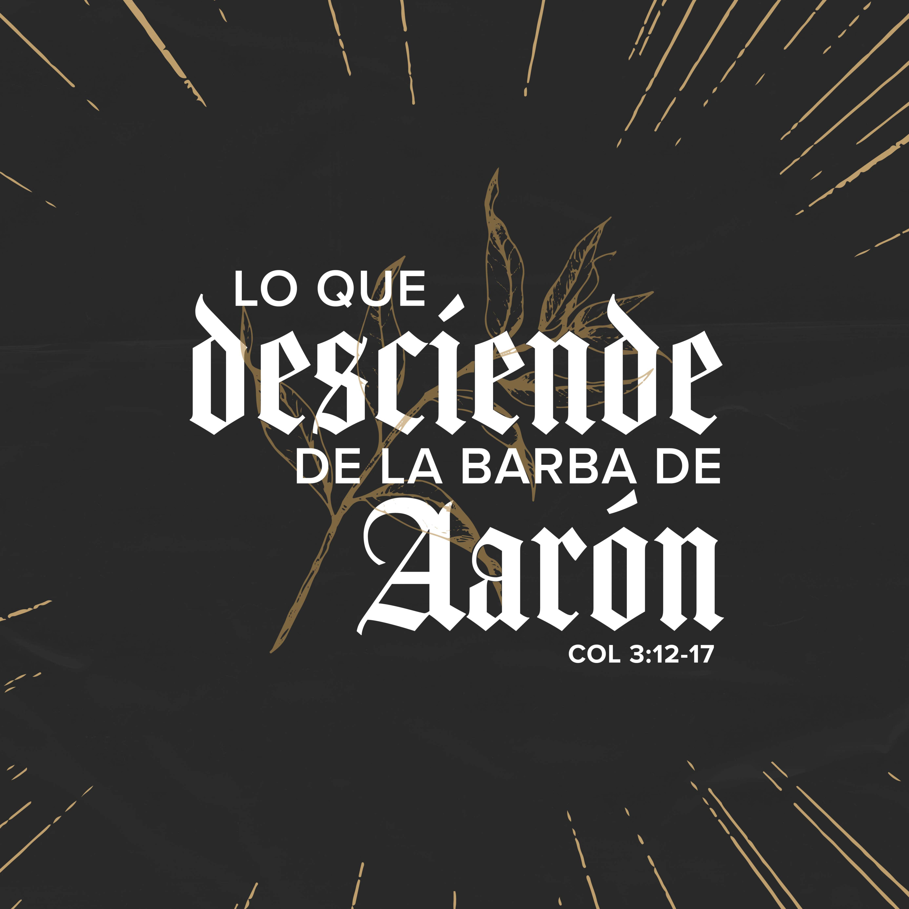 Lo que desciende de la barba de Aarón - Colosenses 3:12-17