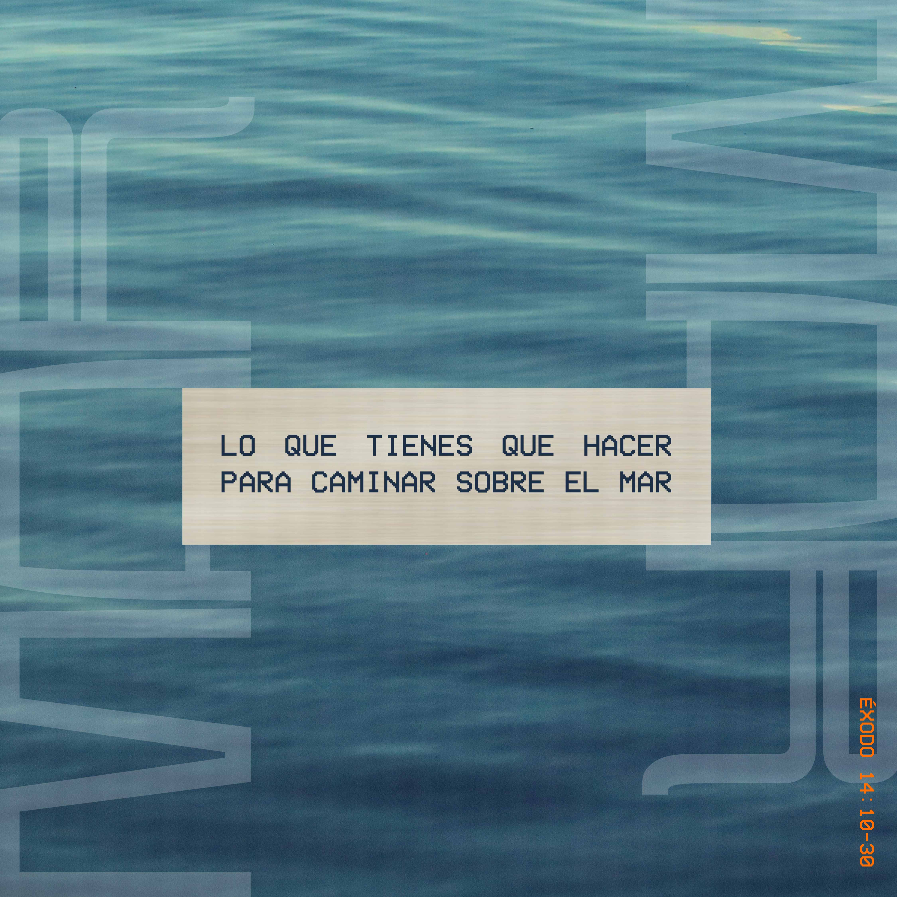 Lo que tienes que hacer para caminar sobre el mar - Éxodo 14:10-30