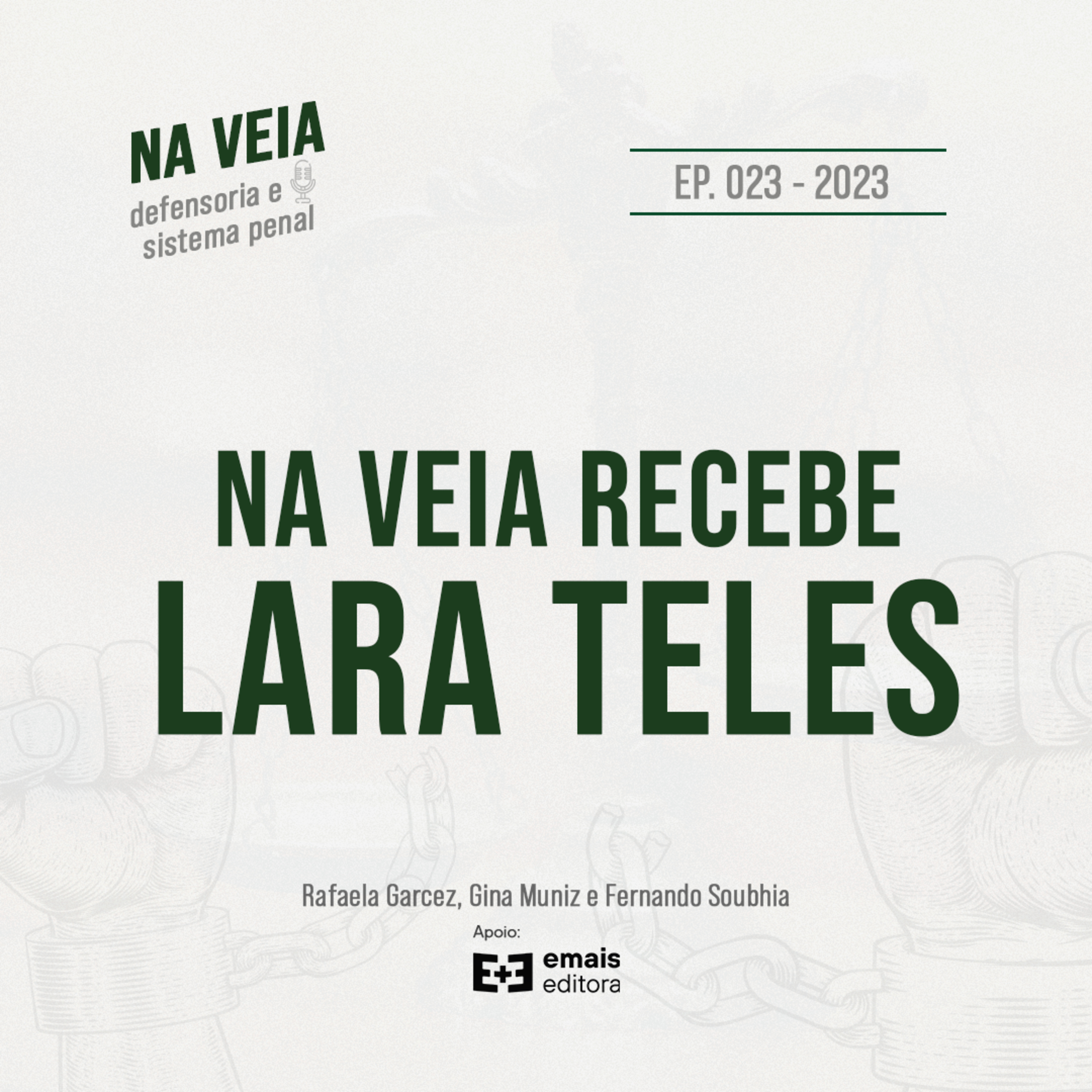 Na Veia - defensoria e sistema penal