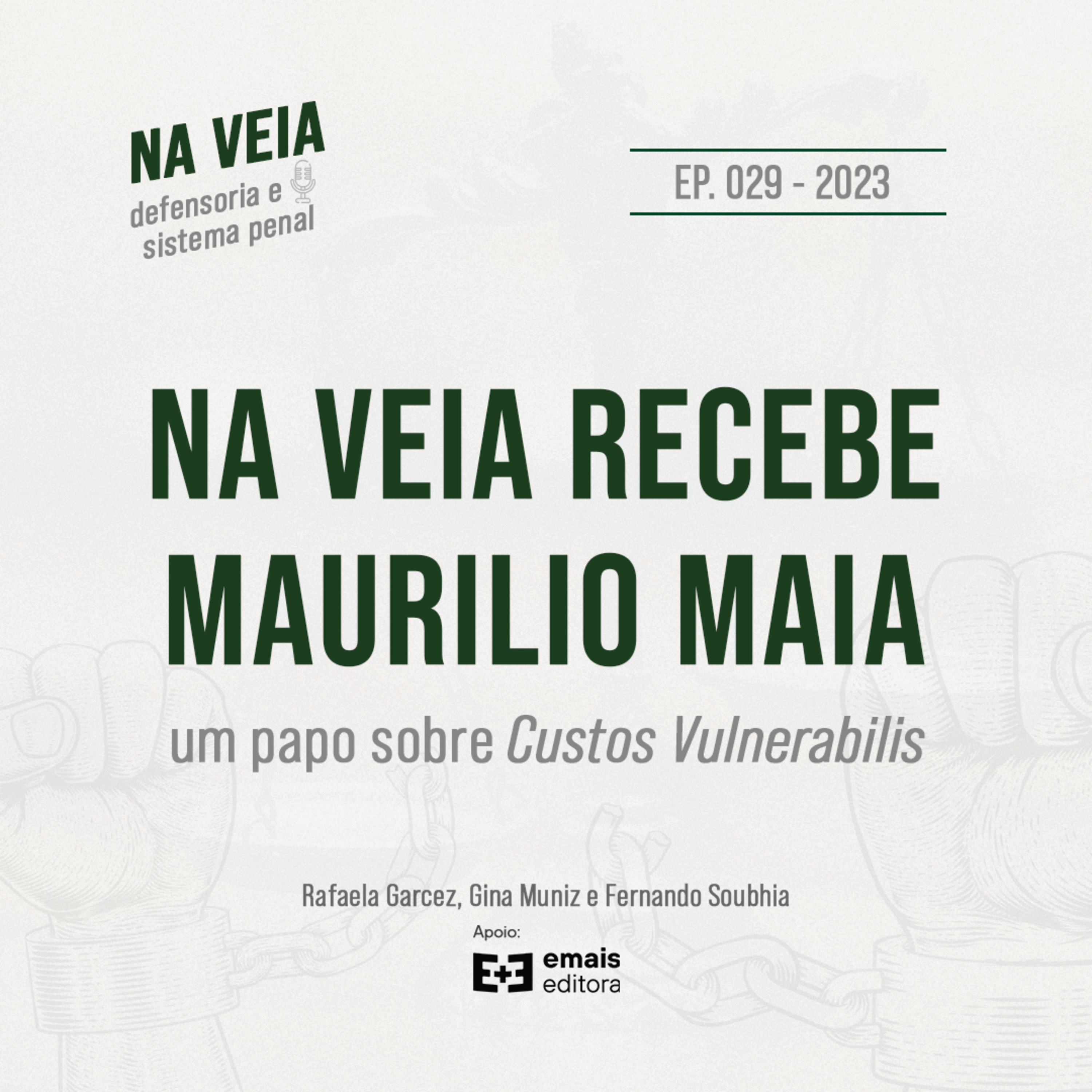 Ep. 029 Na Veia recebe Maurilio Maia: um papo sobre Custos Vulnerabilis episode artwork
