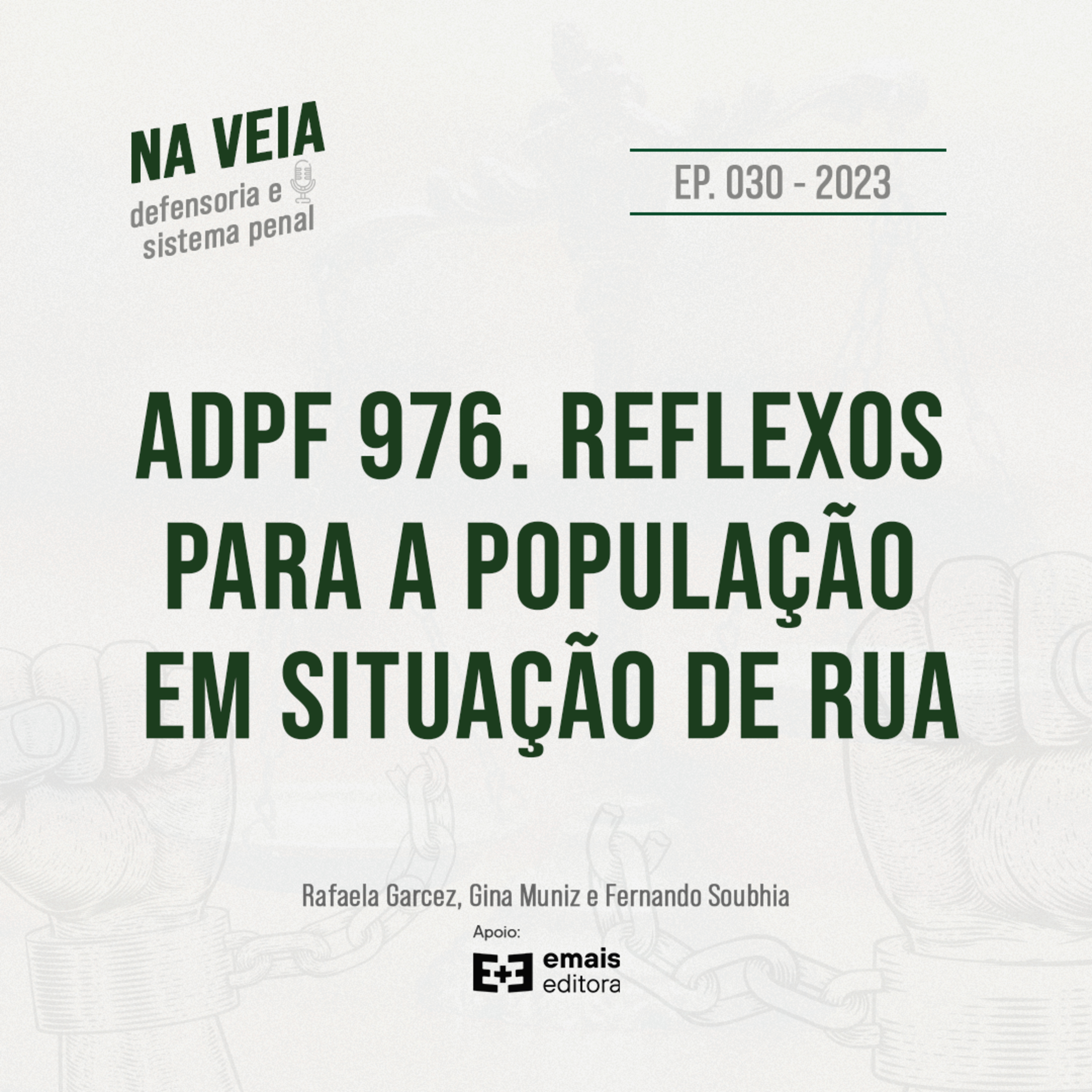 Ep. 030 ADPF 976. Reflexos para a população em situação de rua episode artwork