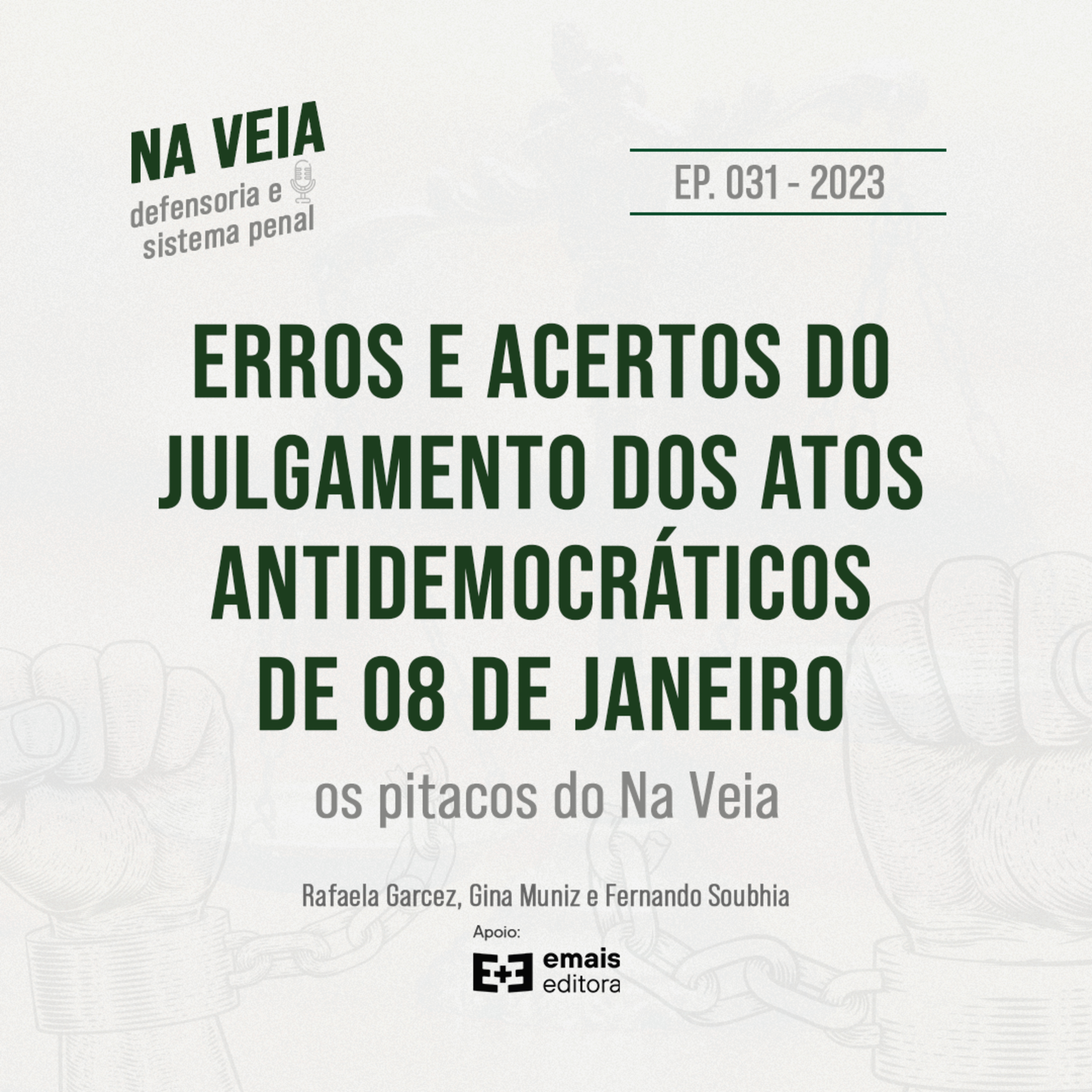 Ep. 031 Erros e Acertos do Julgamento dos Atos Antidemocráticos de 08/01: os pitacos do Na Veia episode artwork