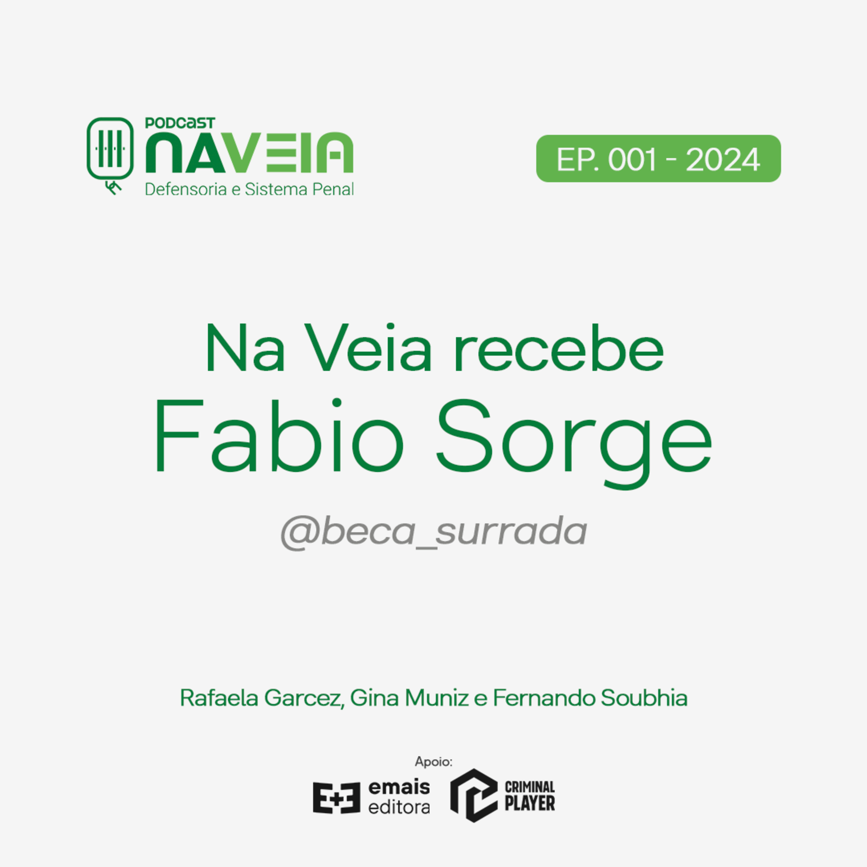 Na Veia - defensoria e sistema penal