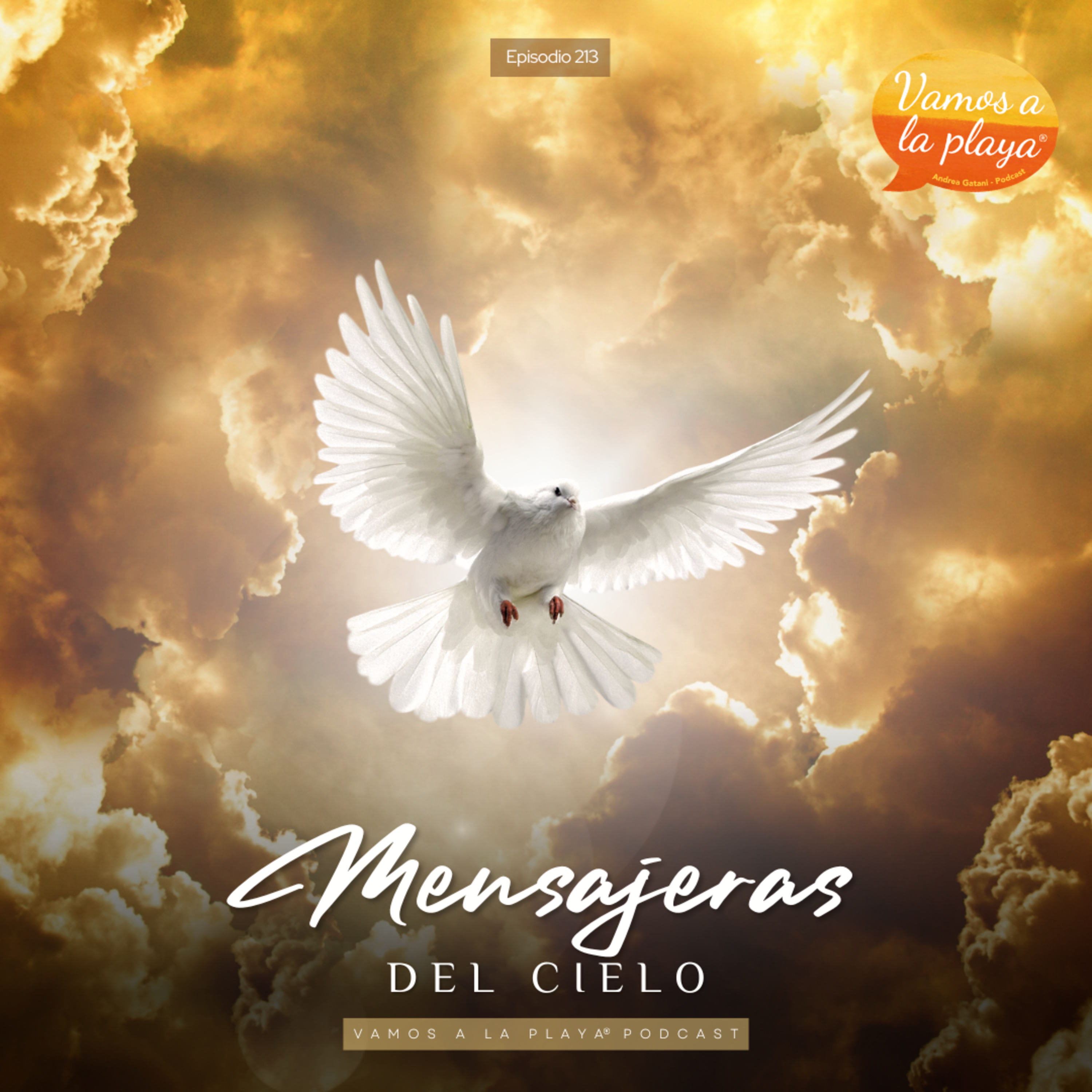 213. Mensajeras del cielo 🕊️ episode artwork