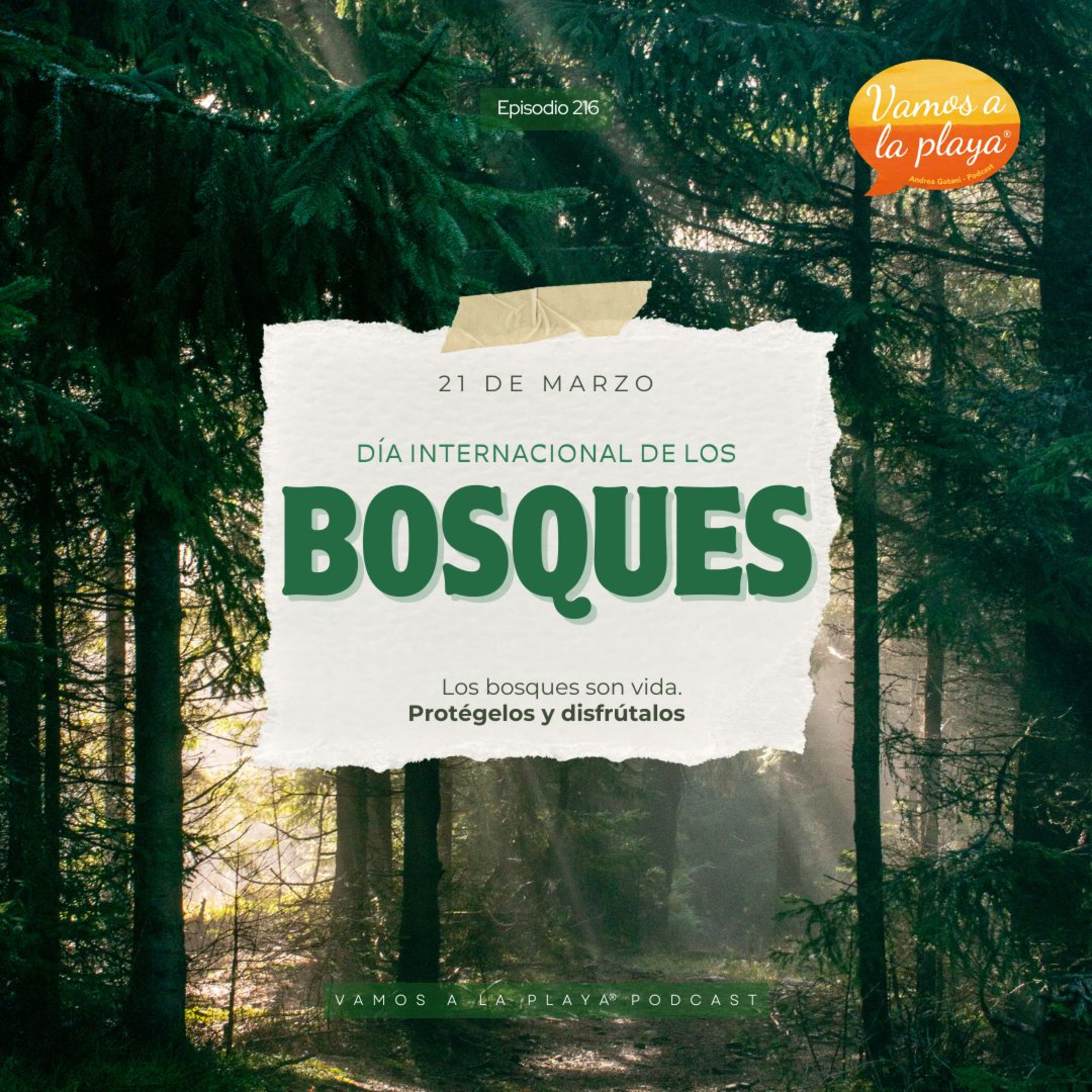216.Día internacional de los bosques 🌳 episode artwork