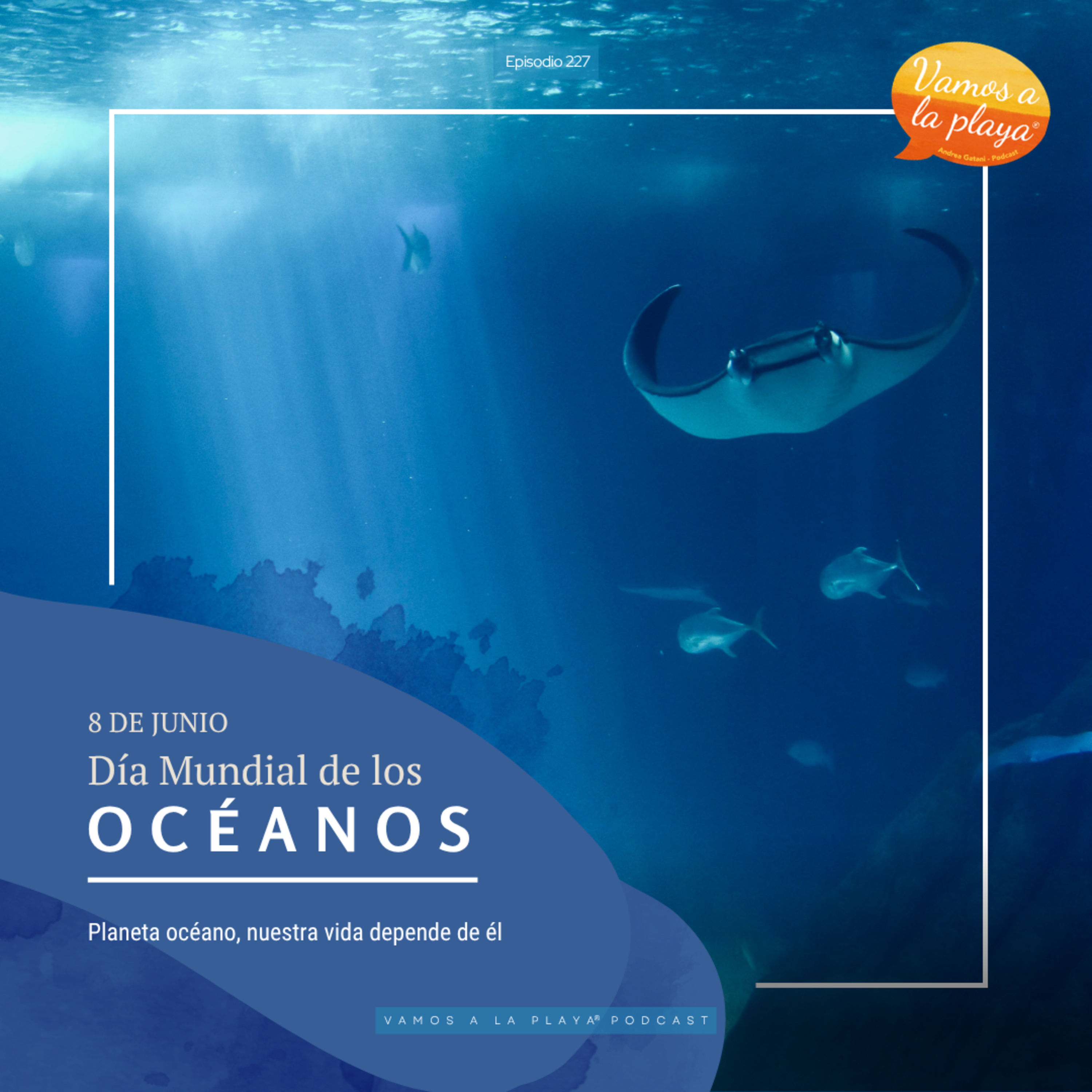 227. ¿Por qué los océanos son esenciales para la vida?🌊 episode artwork