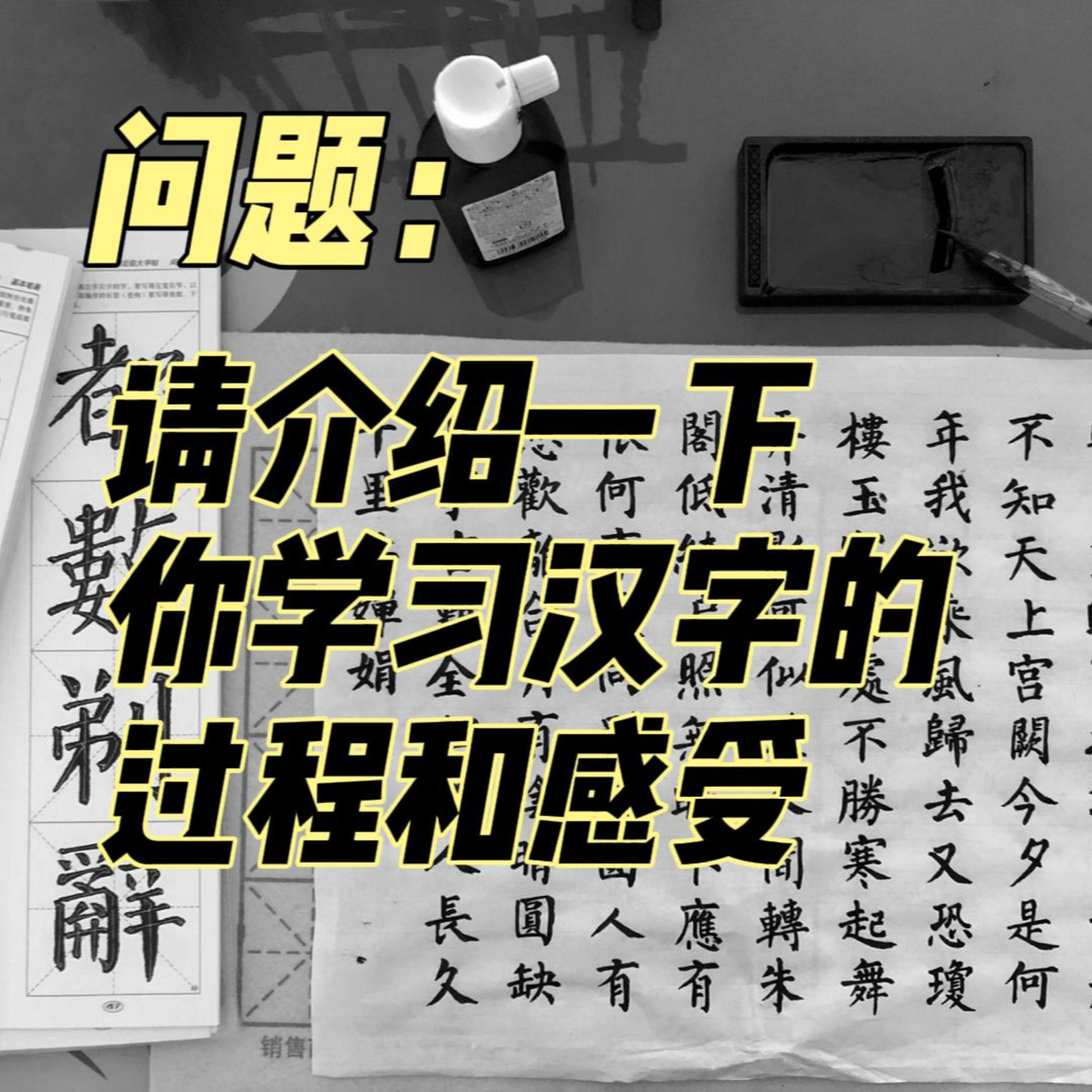 cover of episode Learn Chinese with Lu #99 请介绍一下你学习汉字的过程和感受-来自外研社HSKK（高级）全真模拟试题