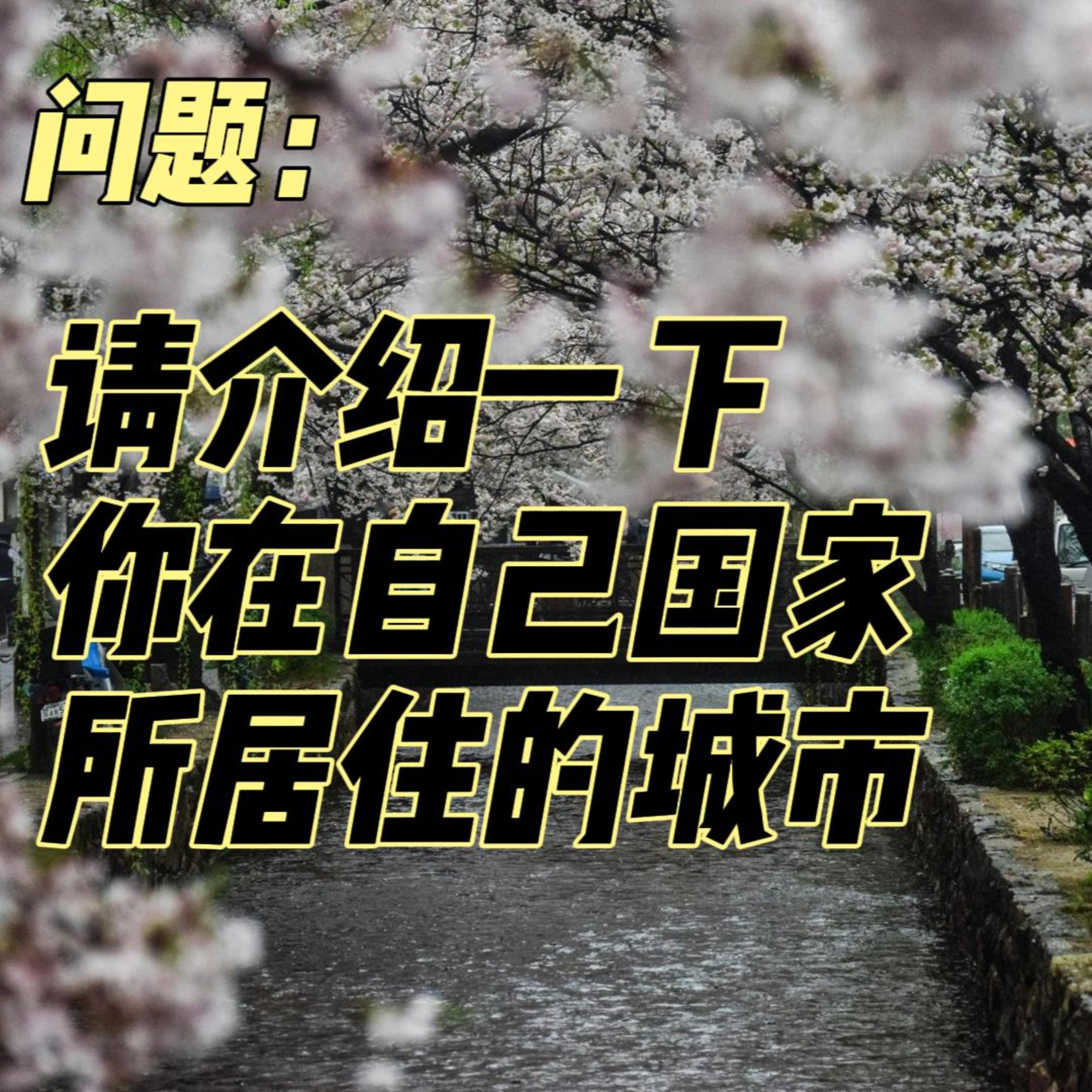 cover of episode Learn Chinese with Lu #100 请介绍一下你在自己国家所居住的城市-来自外研社HSKK（高级）全真模拟试题
