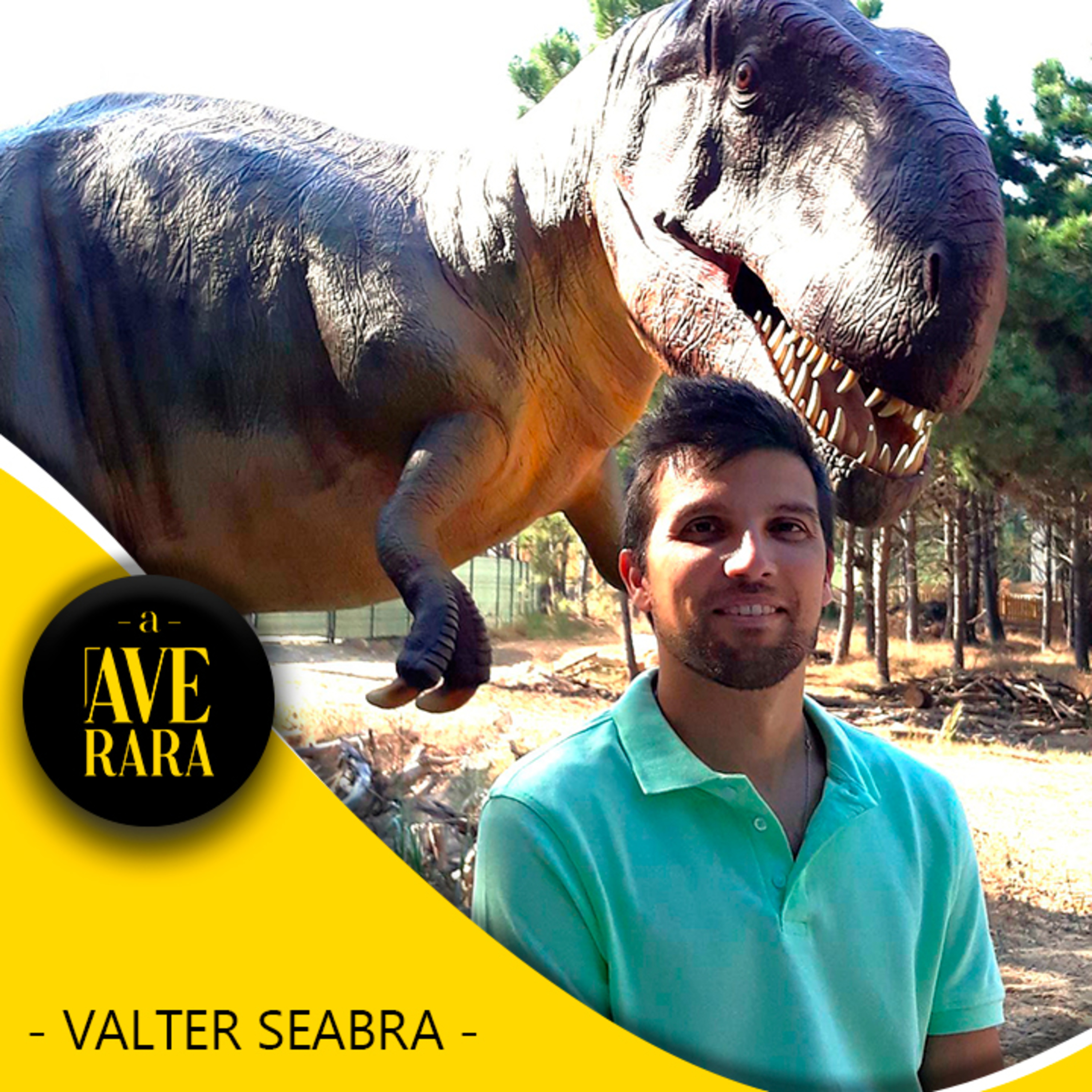 195 - Sair a horas para ir ver o Rei Leão com a minha filha! - com Valter Seabra episode artwork