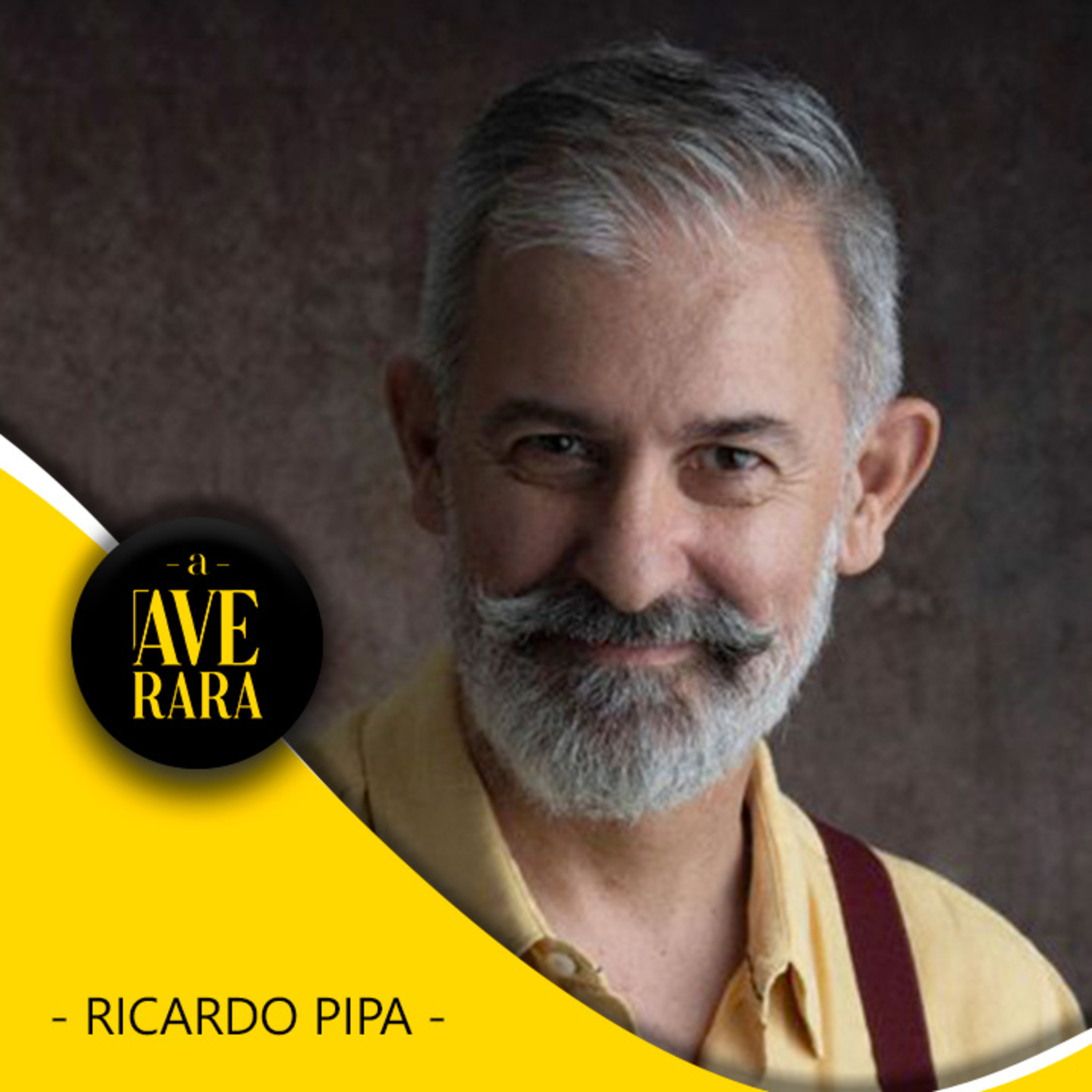 227 - Quando trabalhar for opcional, o que vais fazer com a tua vida? - com Ricardo Pipa