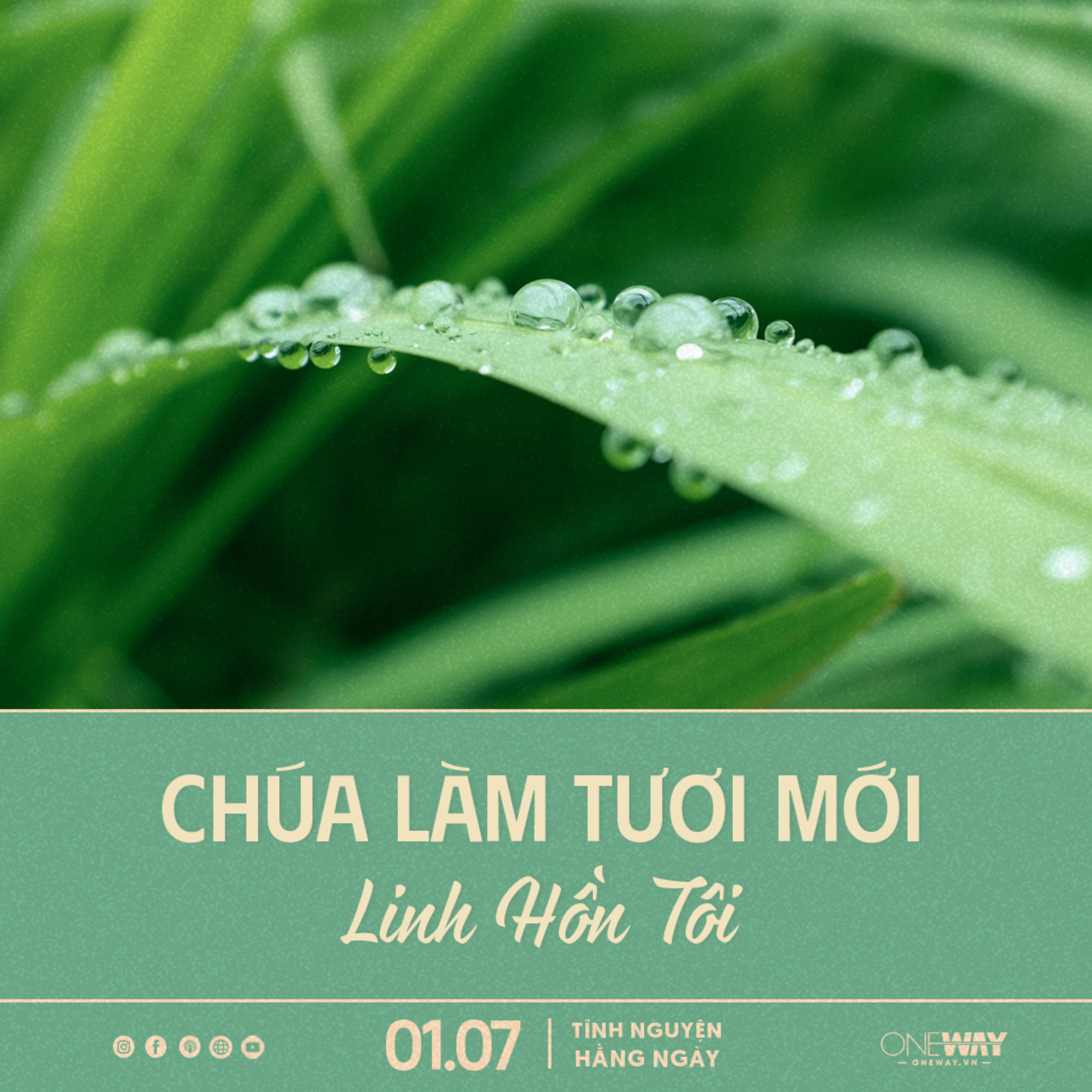 Oneway Radio - Tĩnh Nguyện Hằng Ngày